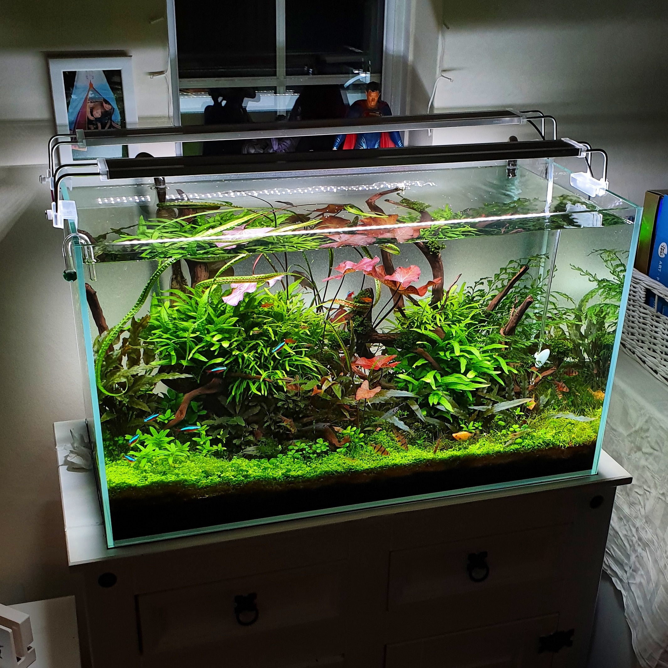 Acrylic Tabletop Fish Tank High Quality Small Fish Tank For, 51 OFF