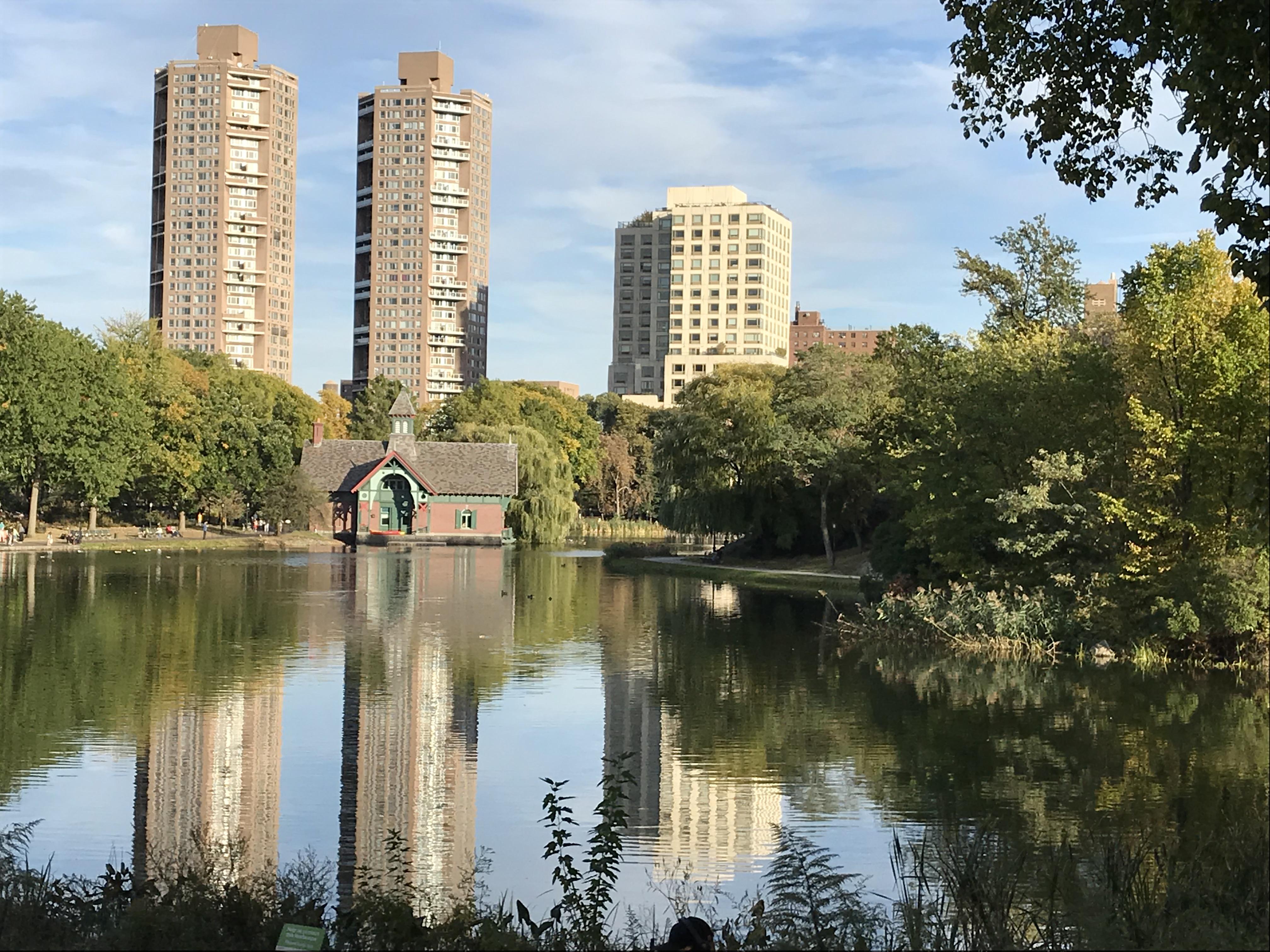Central Park today r/nyc