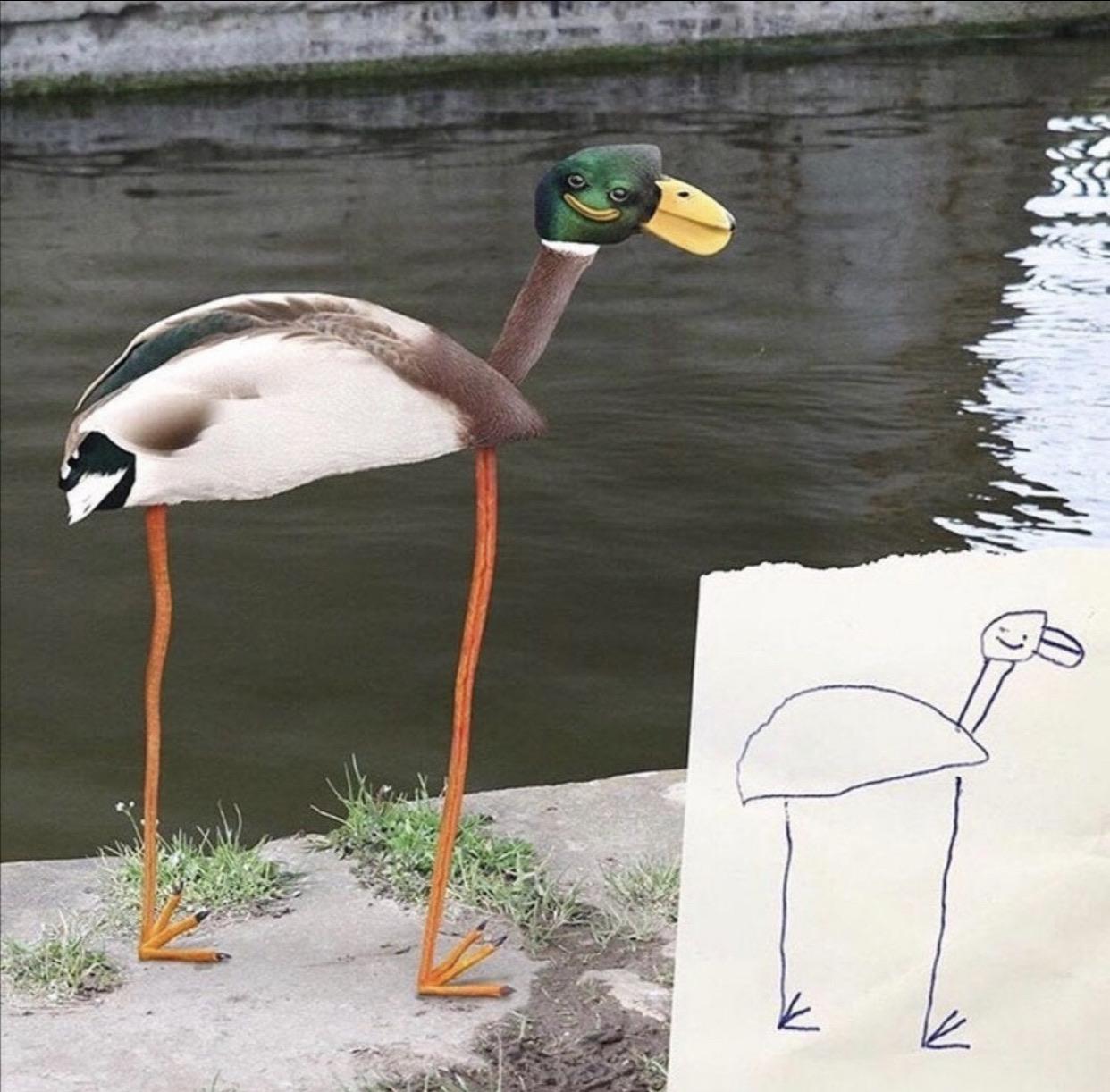 Cursed duck Cursed_Images
