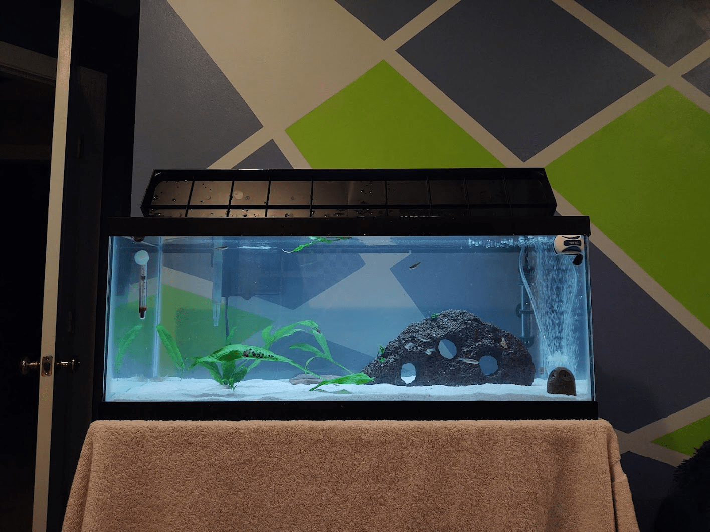 Is this too much light for my cory cats? r/Aquariums