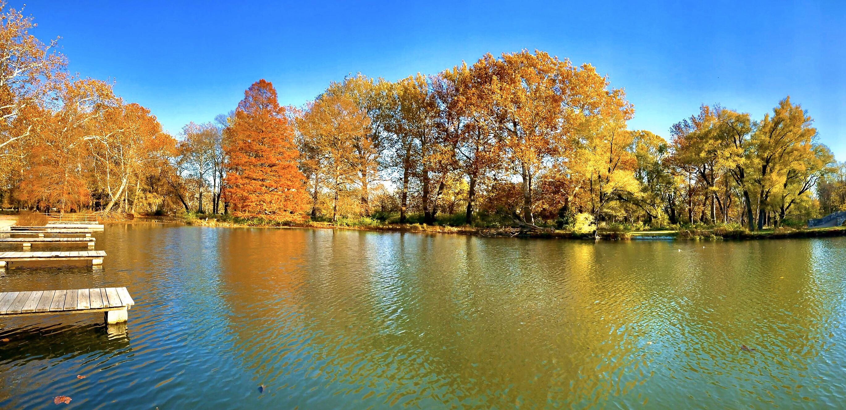Eastwood Metropark is this time of year! r/dayton