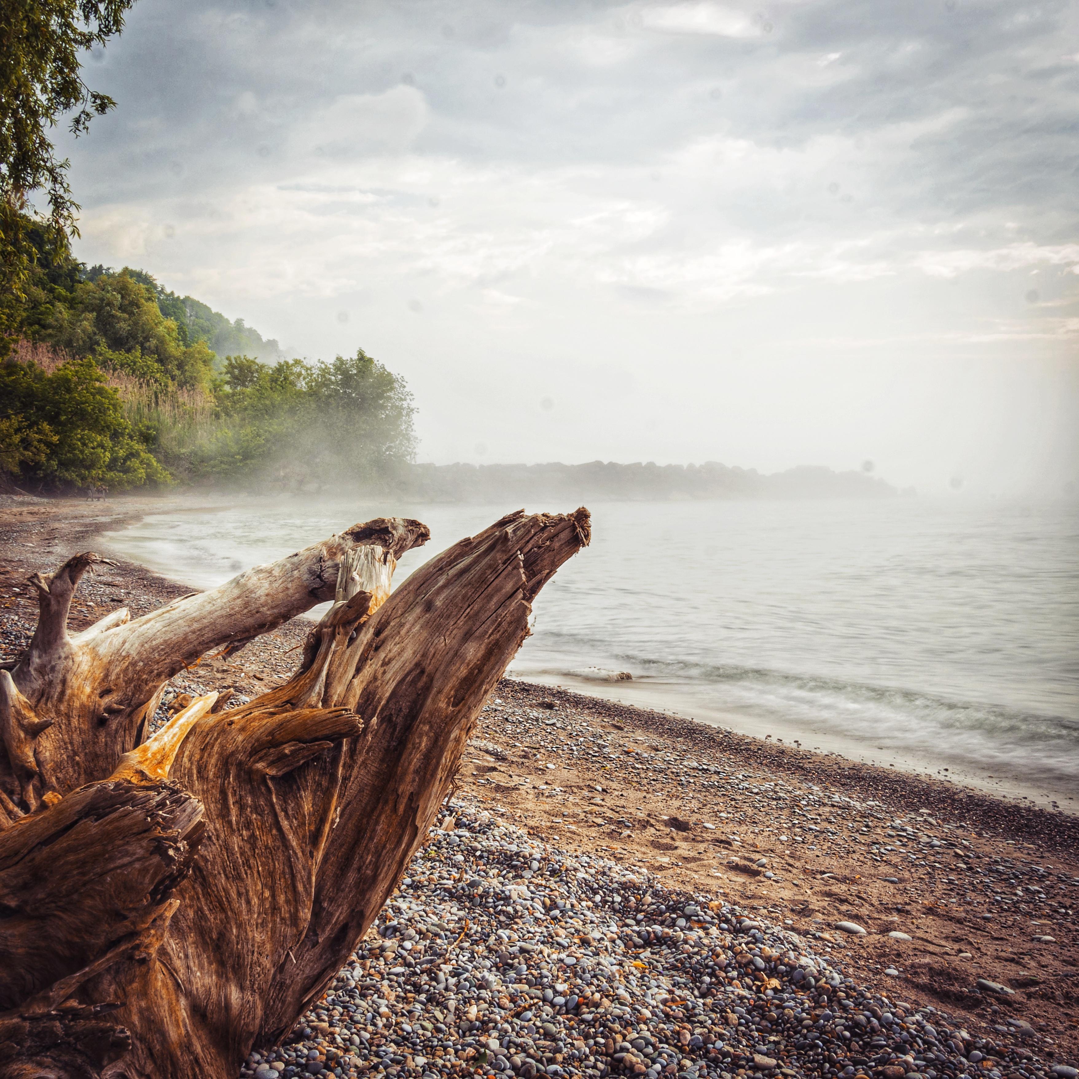 Driftwood near Toronto, Ontario [OC 3513x3513] r/EarthPorn
