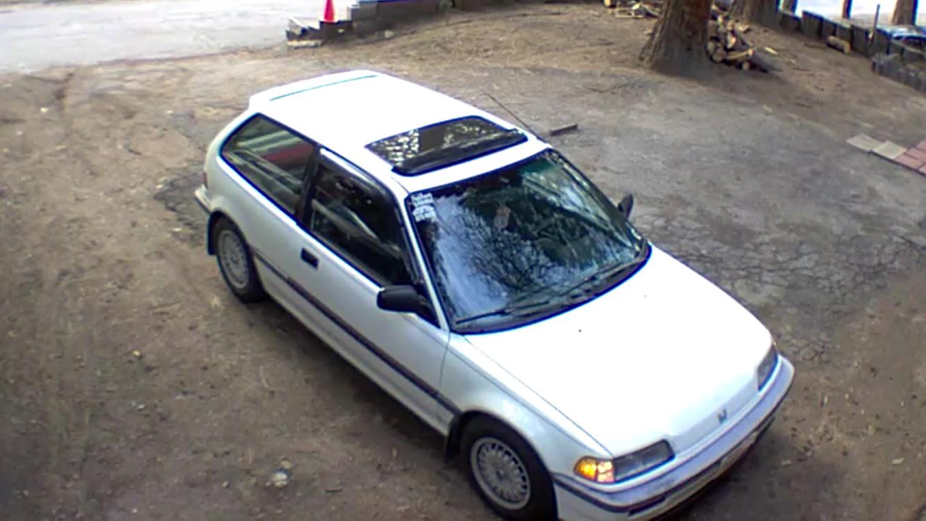 My little ED : r/civic