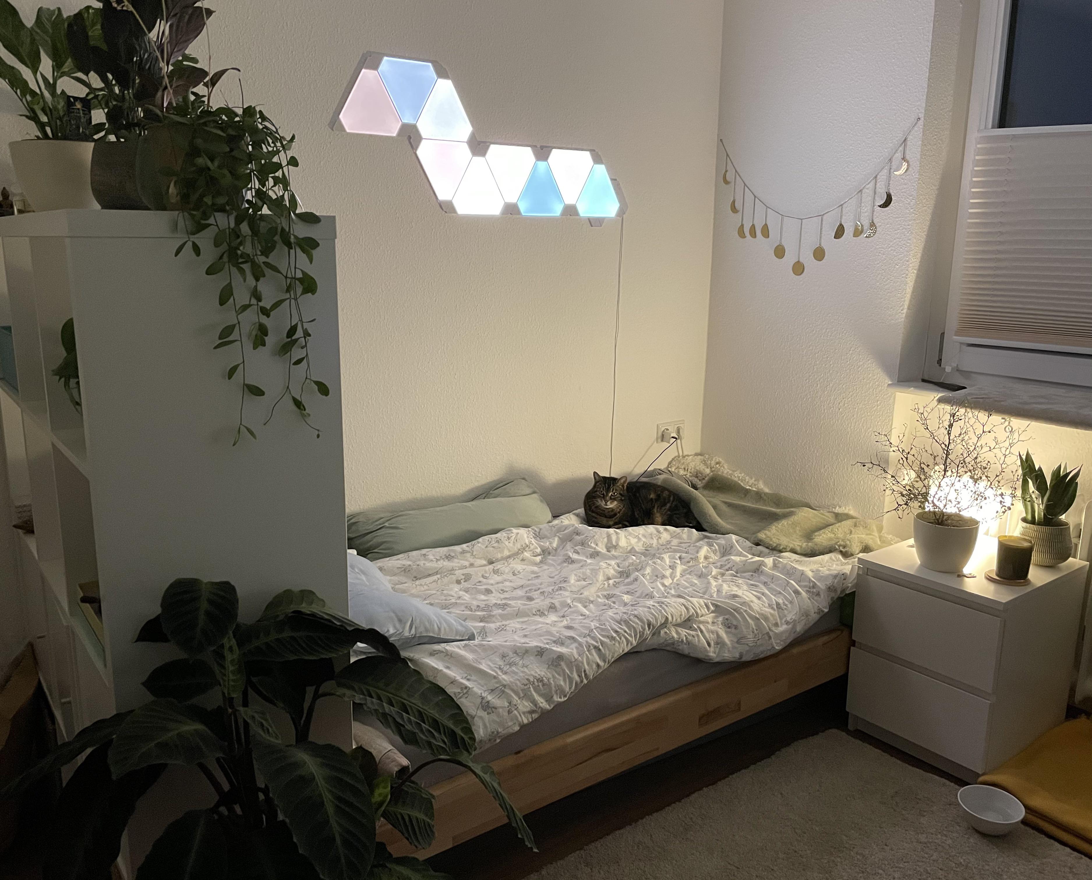 My cozy small bedroom r/CozyPlaces