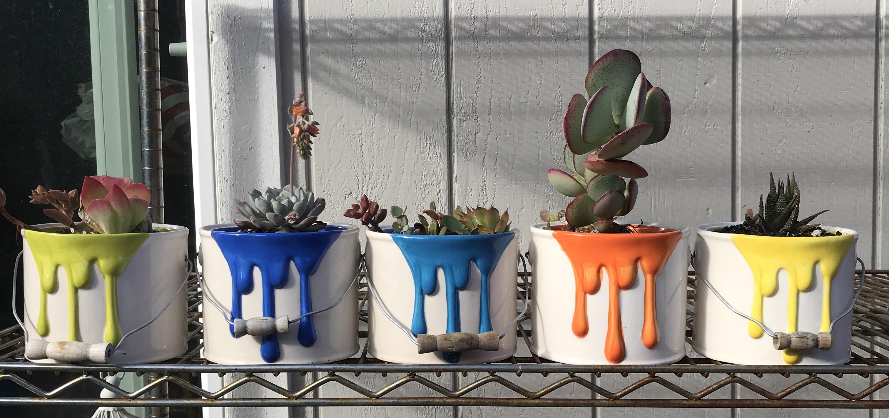 Found these cute pots at Rite Aid in the Bay Area CA. Missing a few