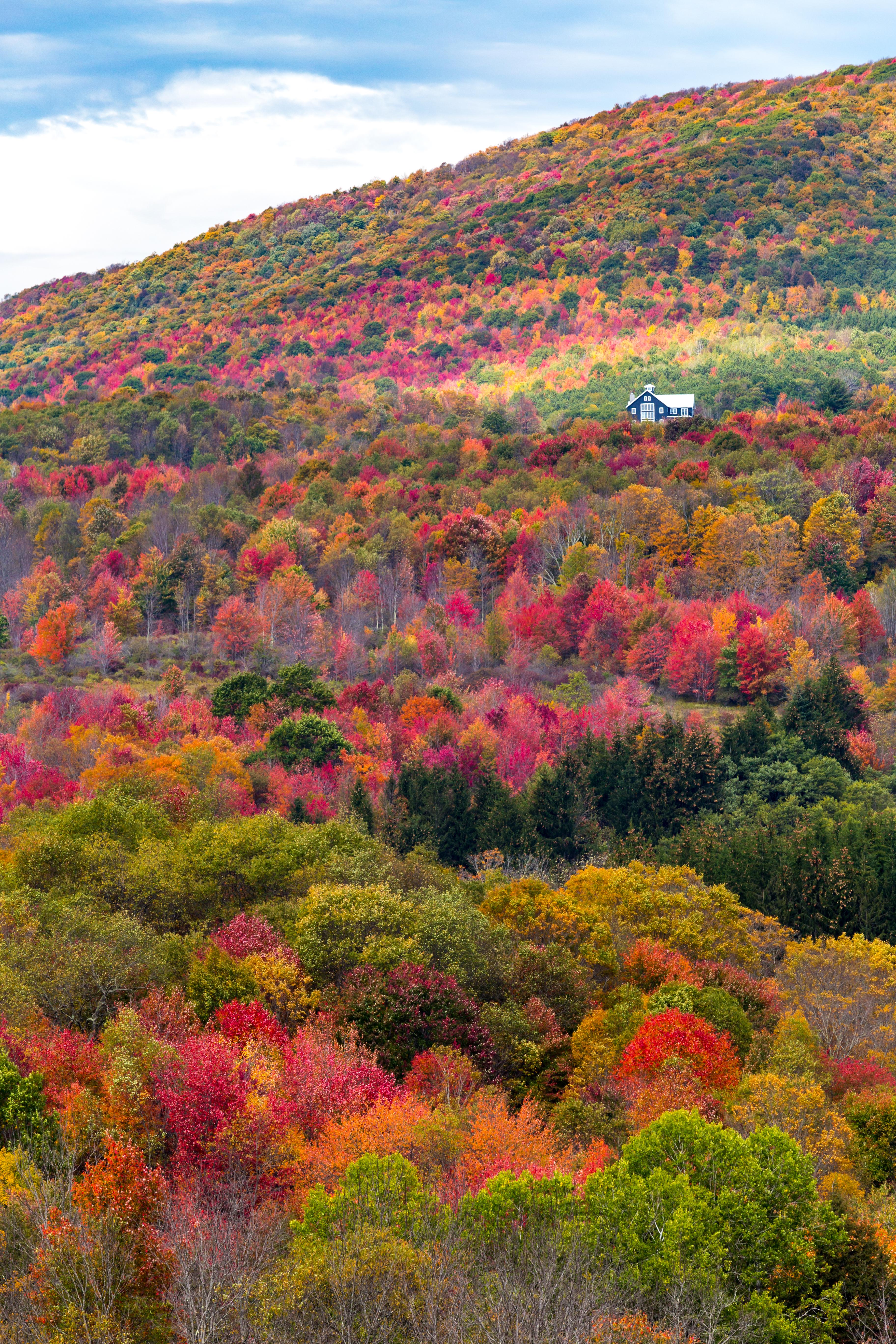ITAP of a house during peak foliage in the Catkills, New York r