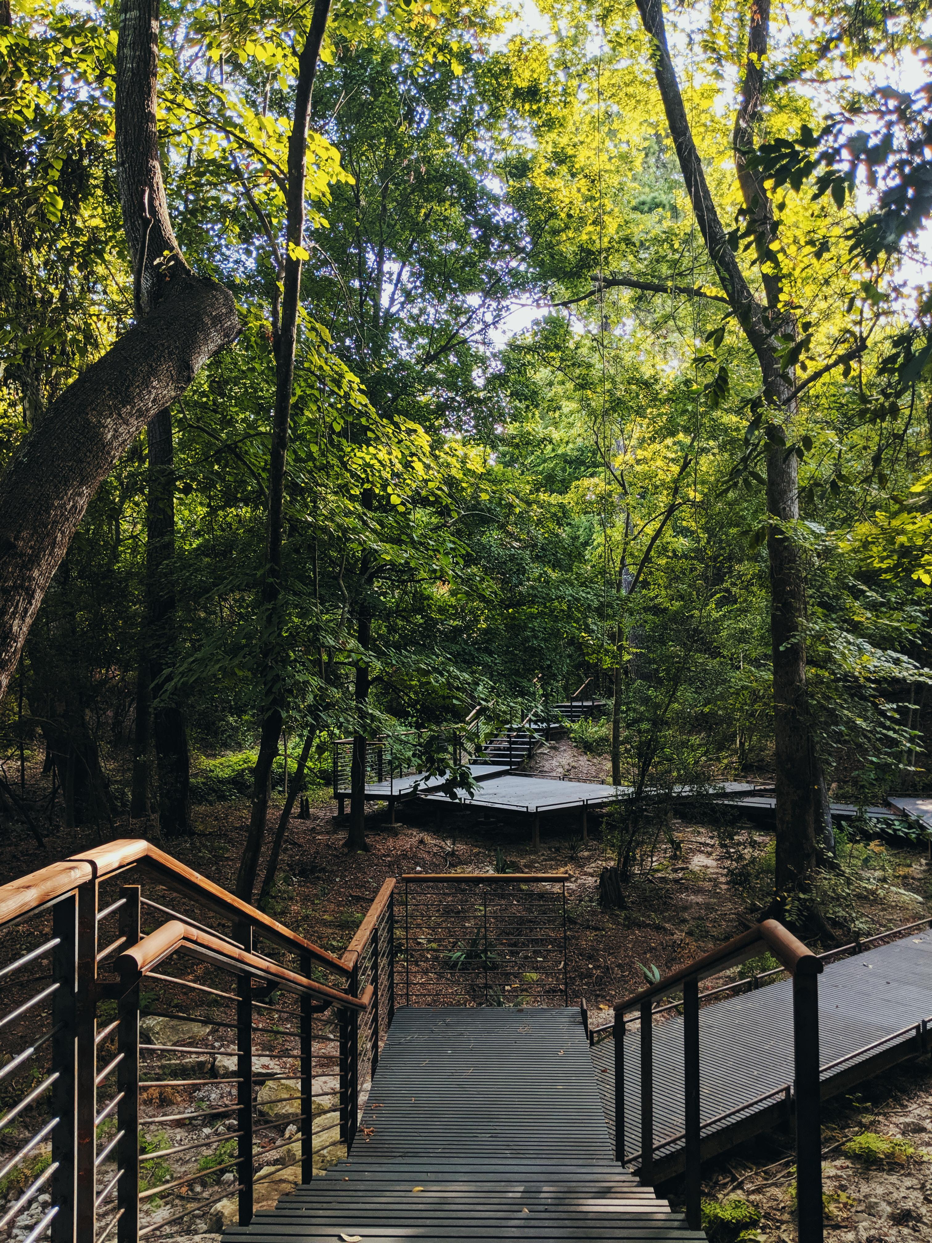 Houston Arboretum r/houston