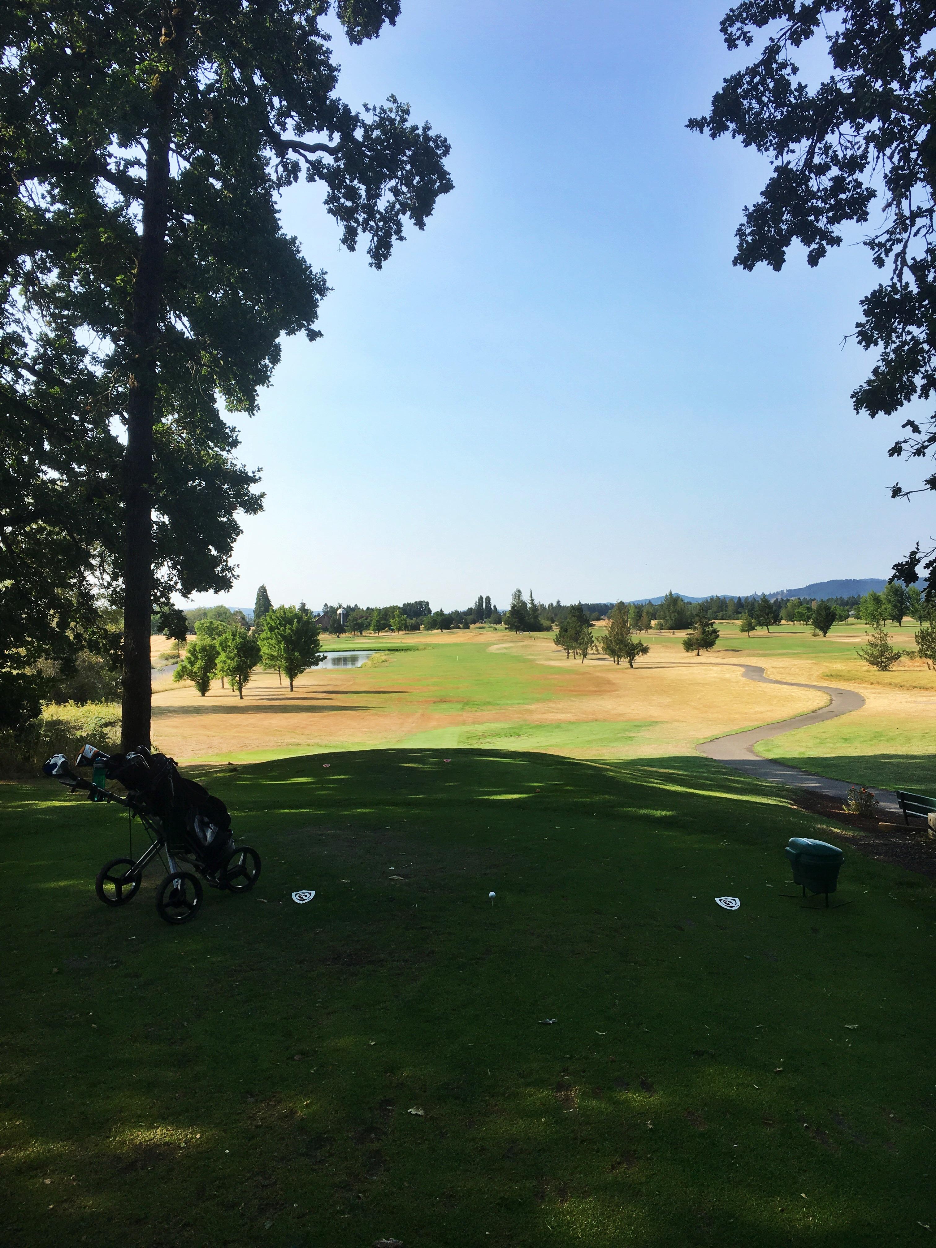 Hole 14 at Quail Valley this morning r/golf