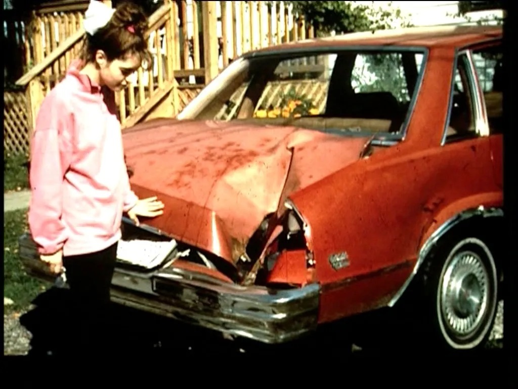 On this day in 1992, a 27pound (12.37 kg) meteorite hit Michelle Knapp