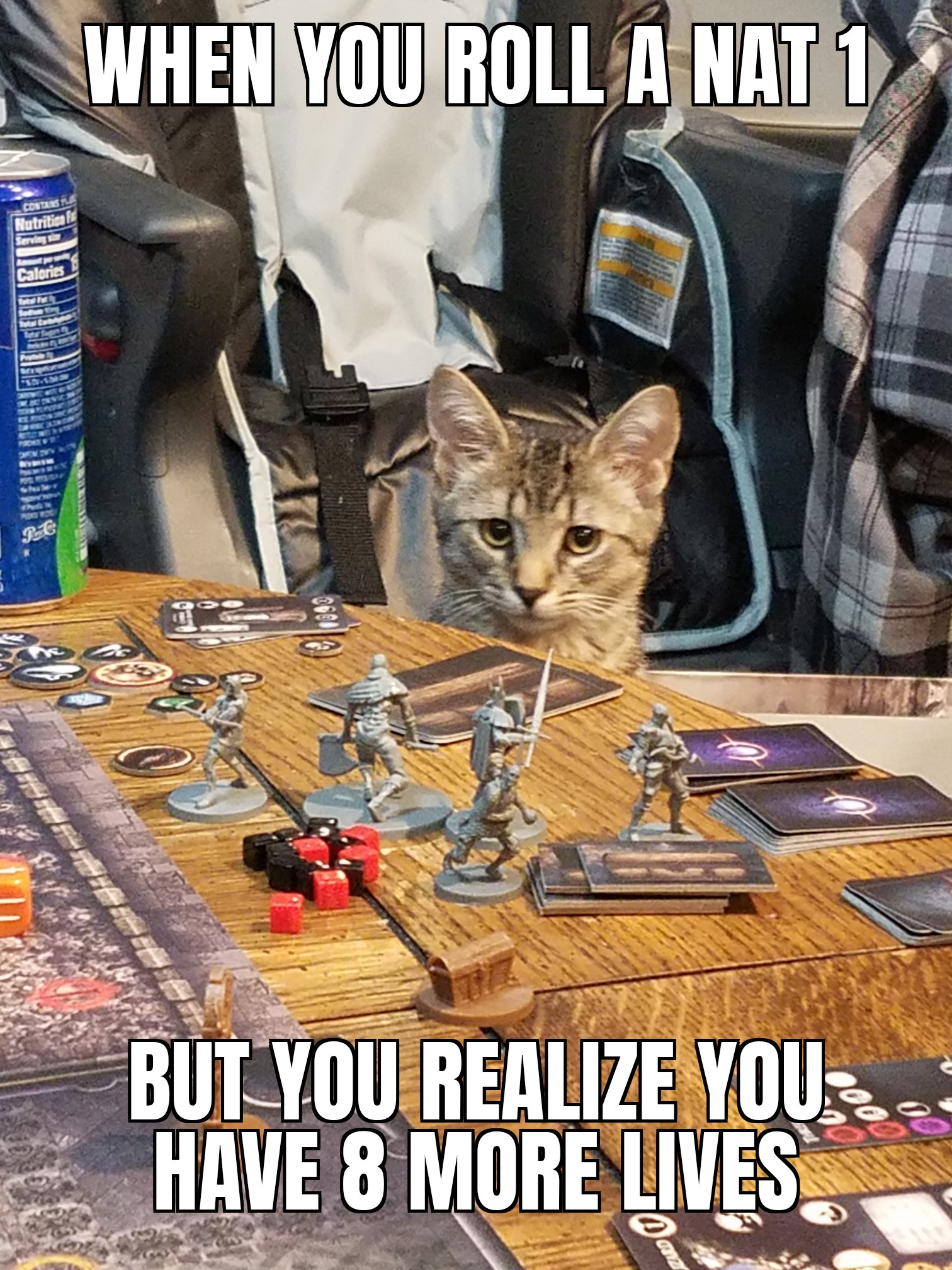 Cult of Cats Adohand’s Kitchen OffTopic D&D Beyond Forums D&D