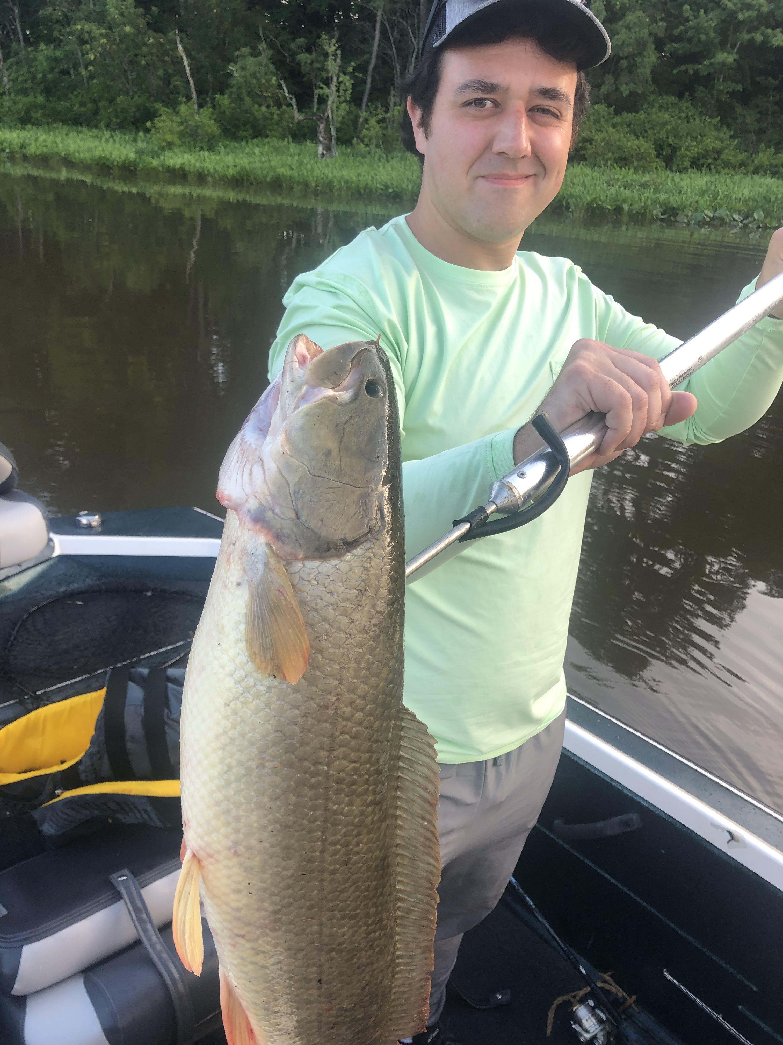My first bowfin, Pamunkey River, VA r/Fishing