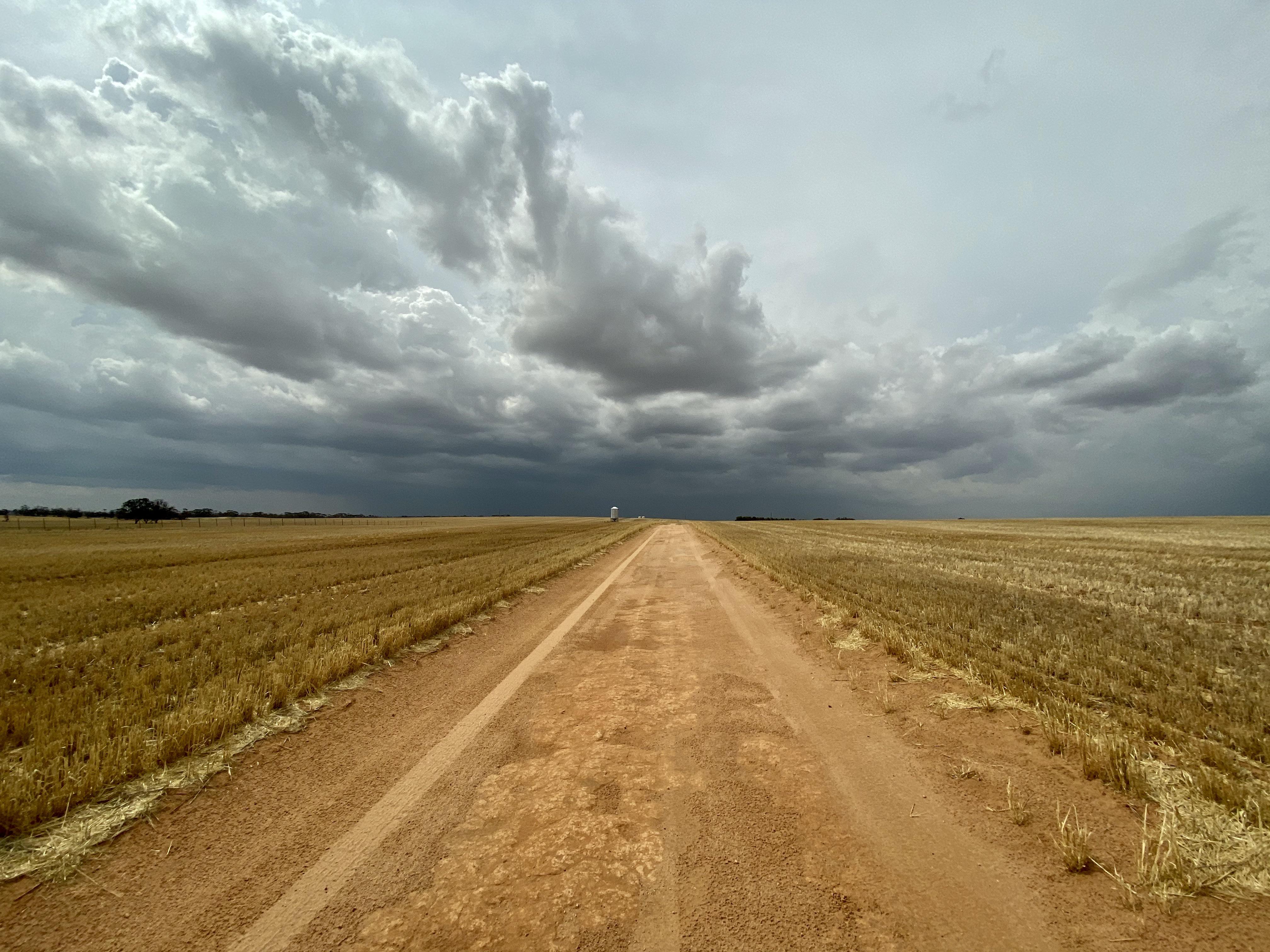 I love a sunburnt country, a land of sweeping plains. I catch myself