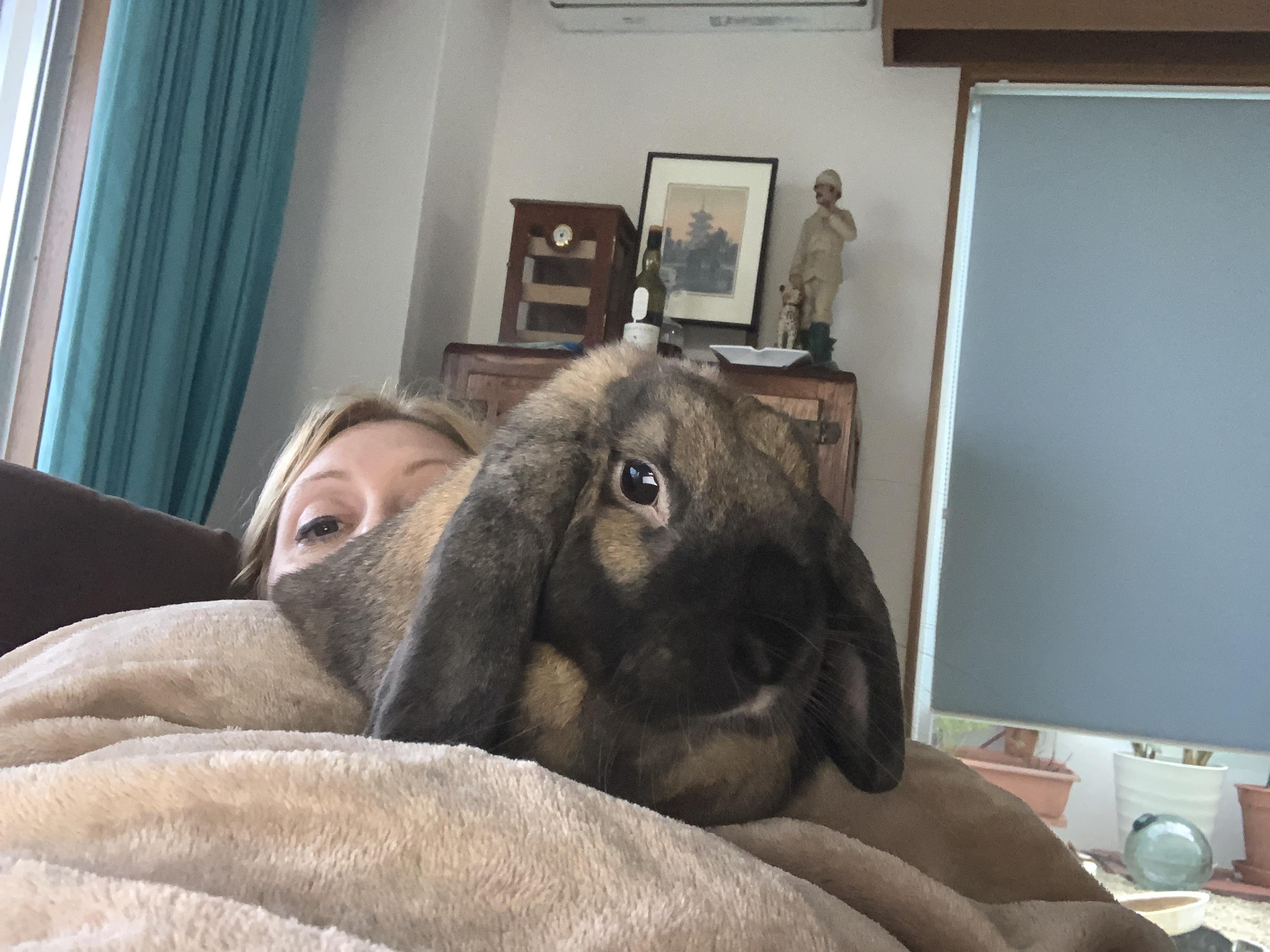 Love that smelly butt. r/Rabbits