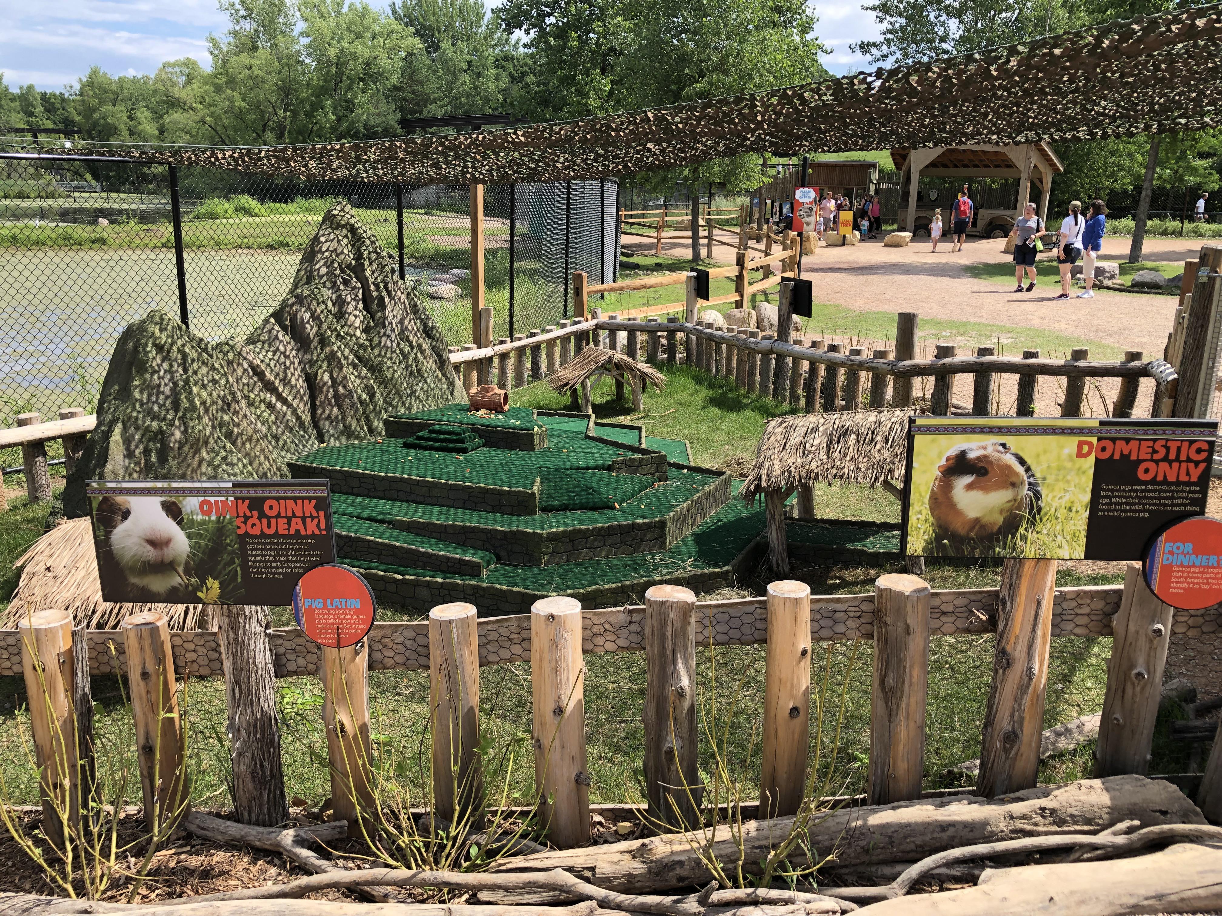 Visited the Minnesota Zoo today. As part of their South American