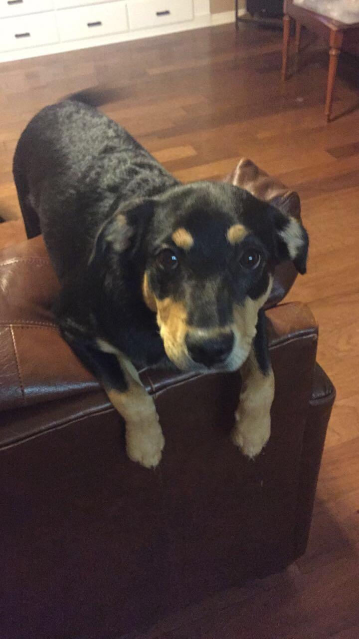 She peed on my foot, but it's just too hard to stay mad at that face