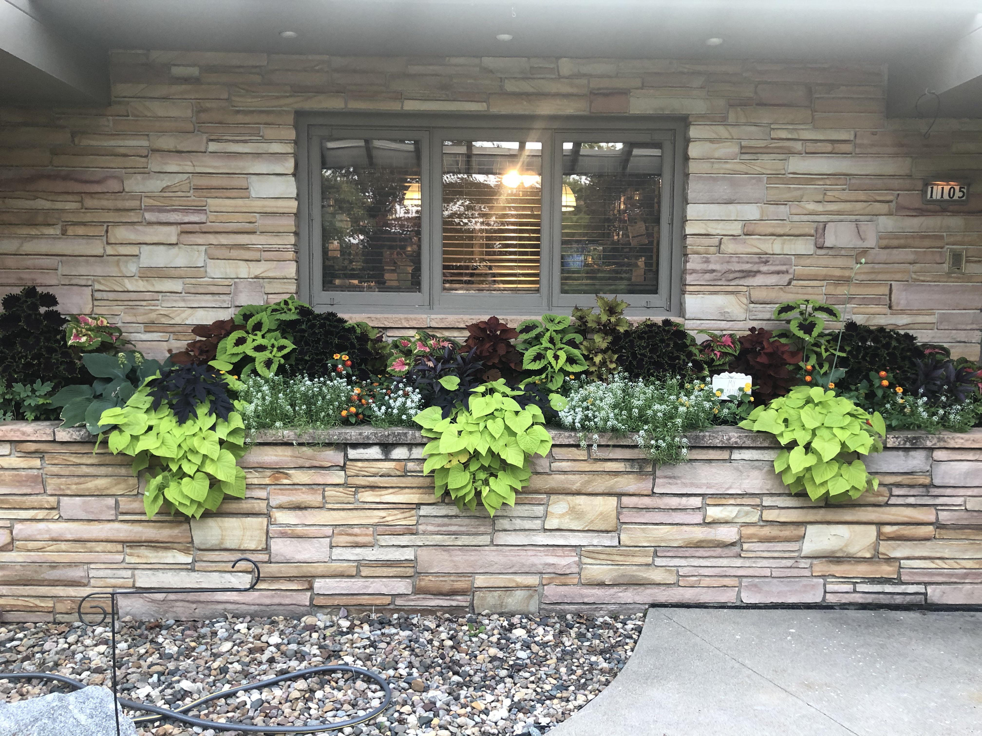 My mom planted her plants in a perfect order r/mildlyinteresting