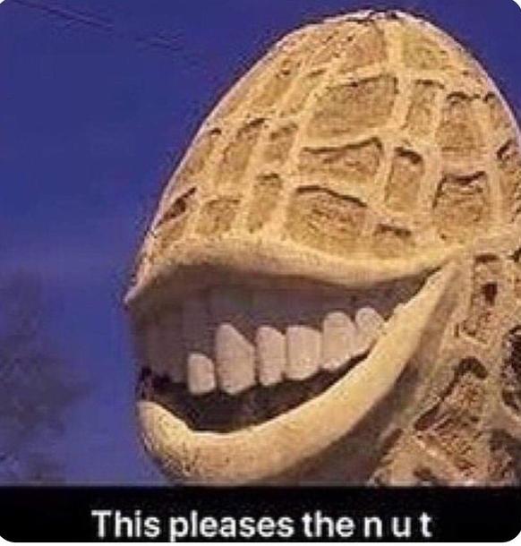 When you just now find out that you can be a lesbian in fallout 4