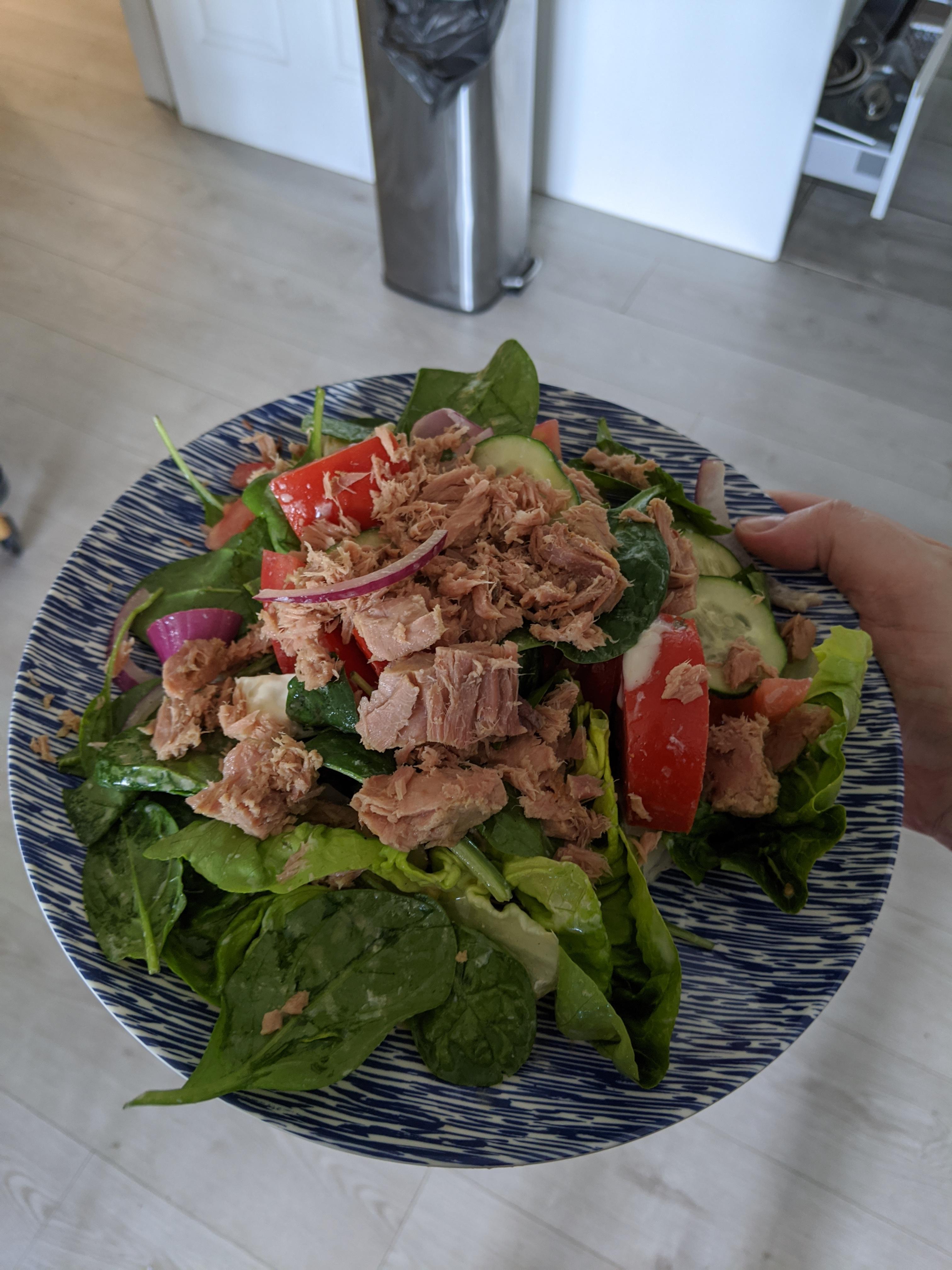 [Homemade] goats cheese and tuna salad r/food