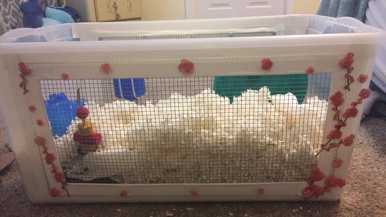 bin cage decor 🌸 r/hamsters