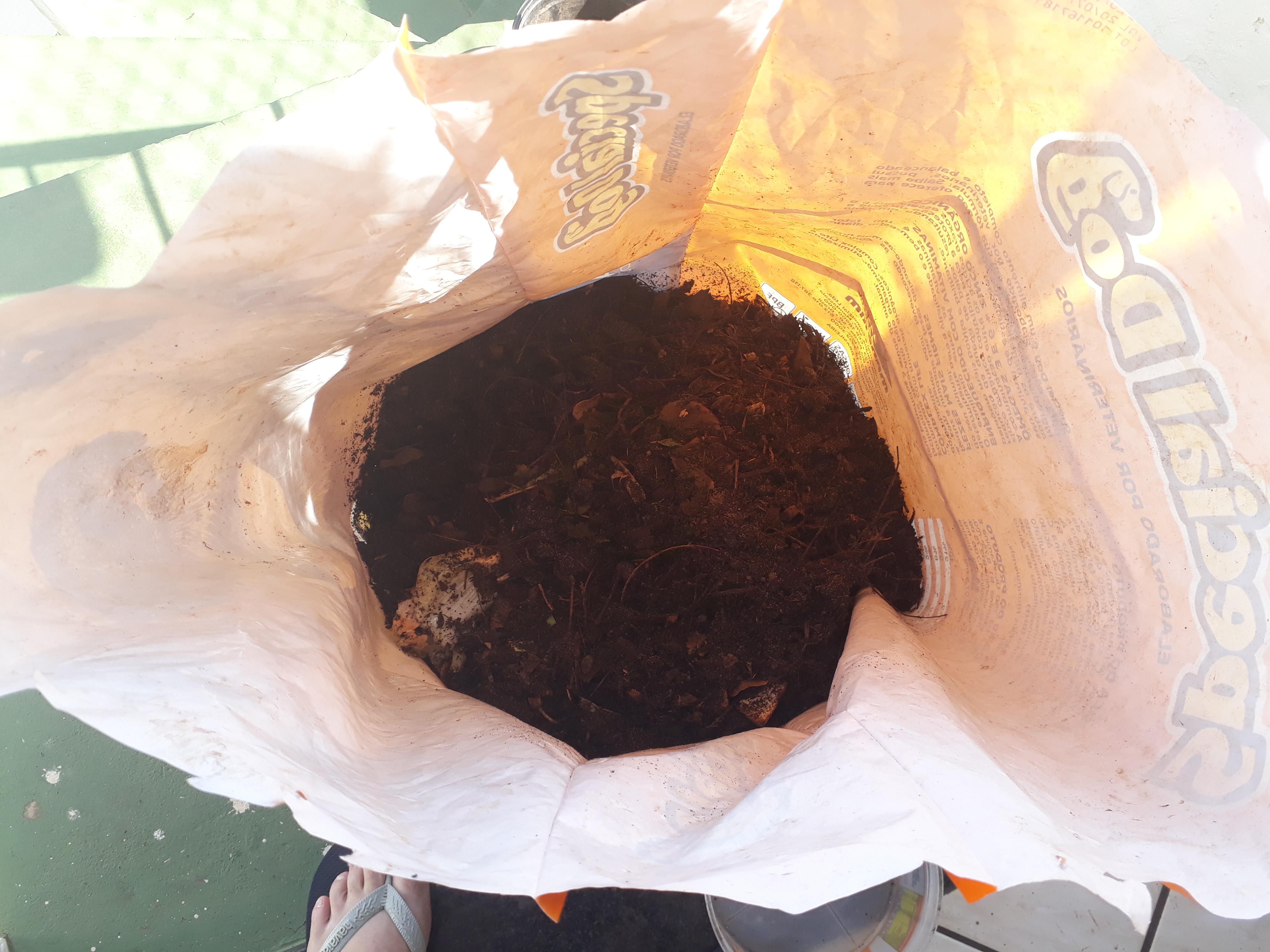 Testing the method of composting in bags, not disappointed with the results. Sunny days helps a