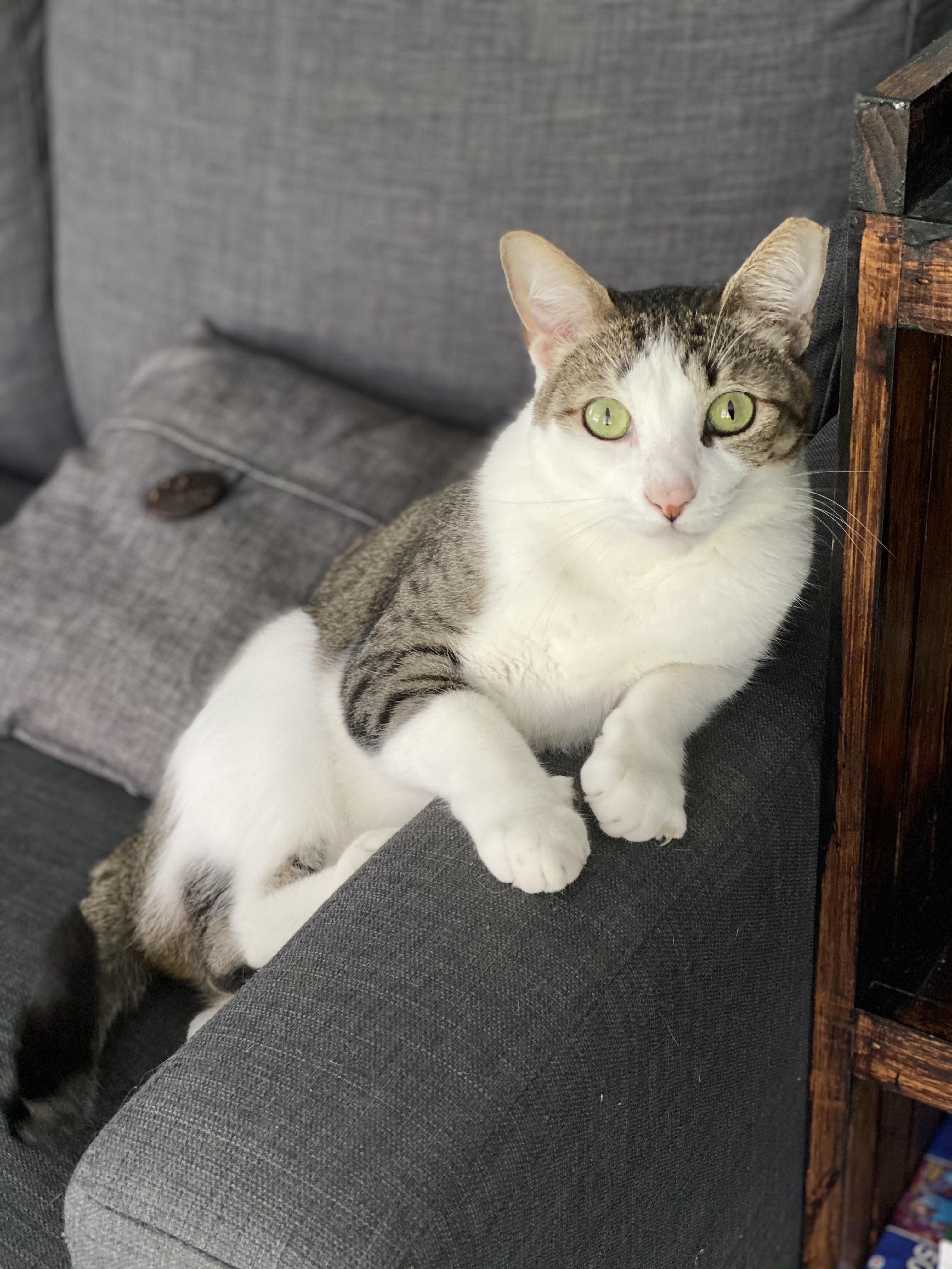 I don’t always steal your seat, but when I do it’s your own fault you