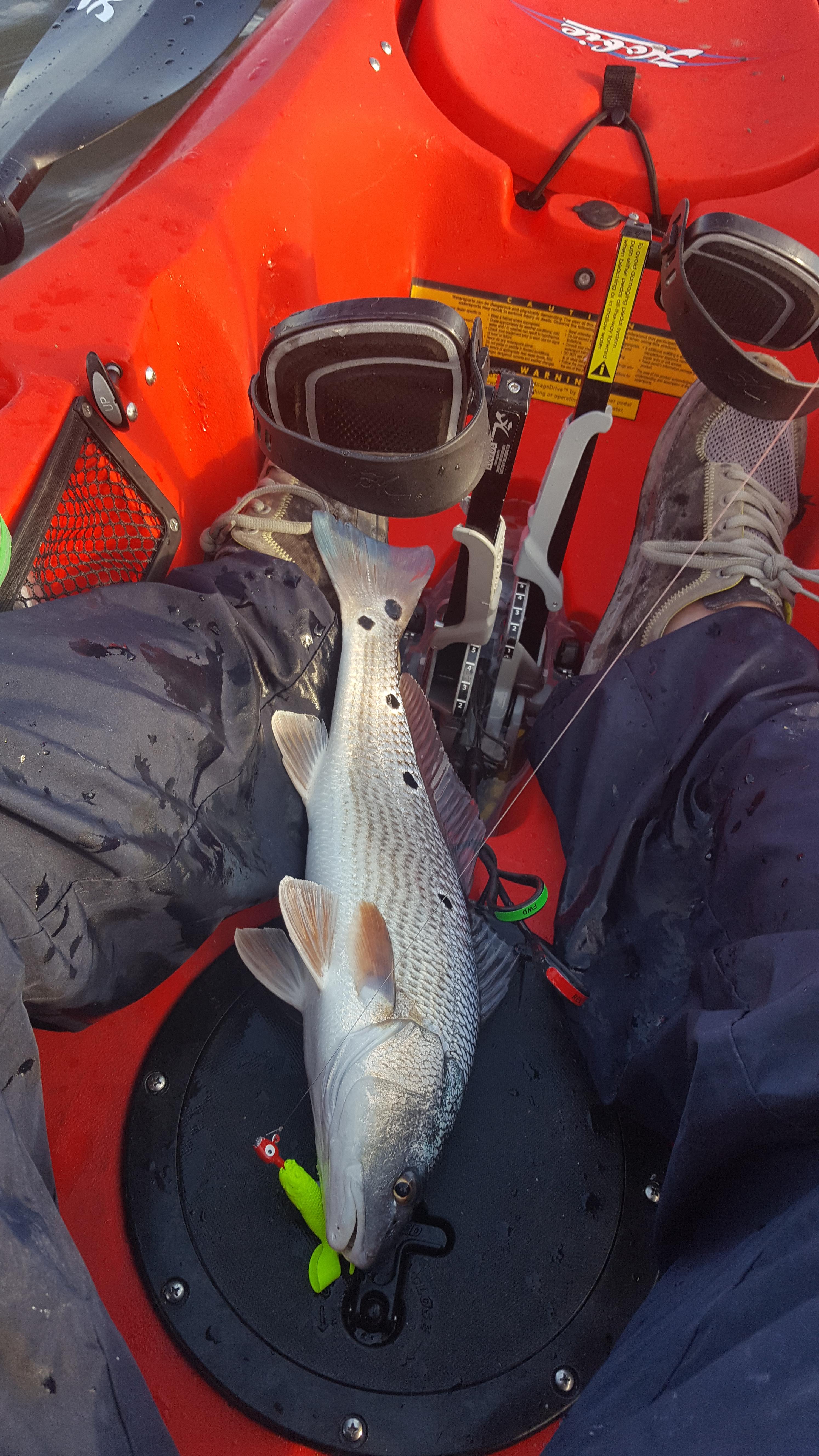 Kayak fishing for Redfish in Beaufort SC [SW] r/Fishing