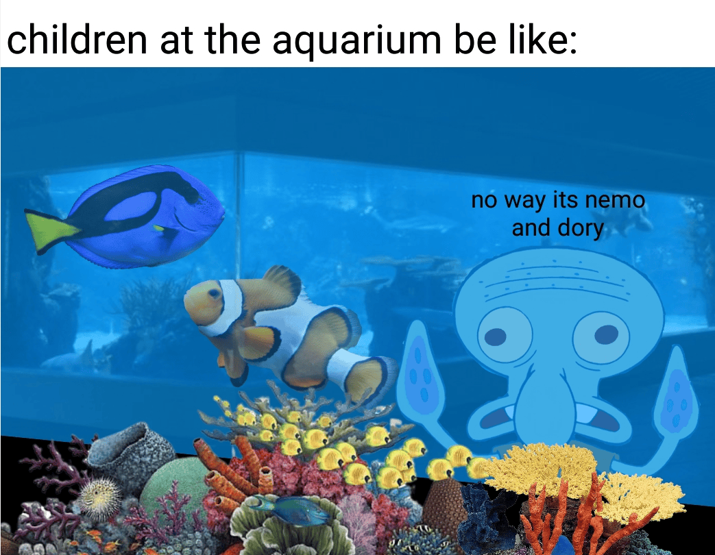 "Mom, Dad, look!!!!" memes