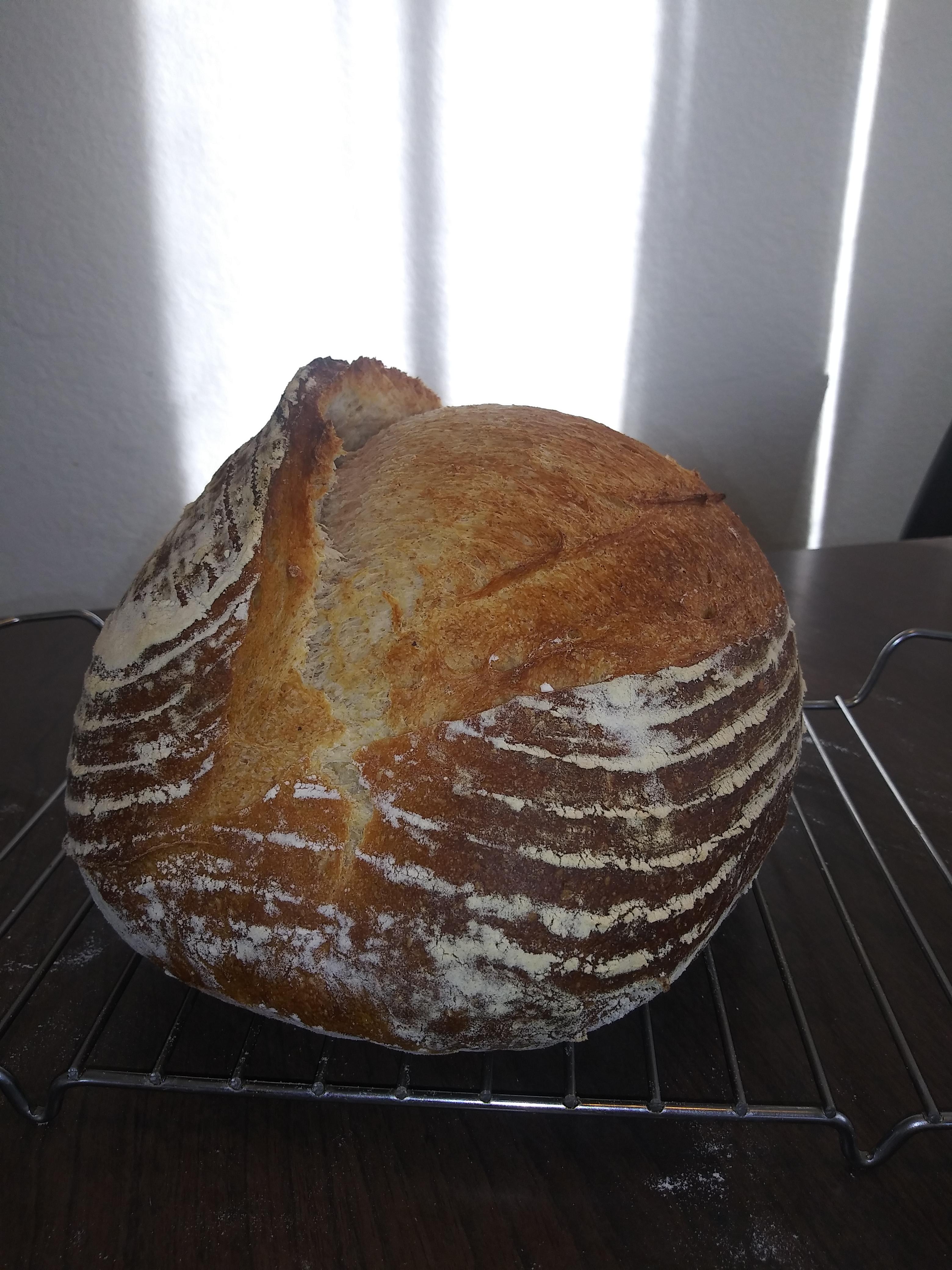 First time baking with good steam r/Breadit