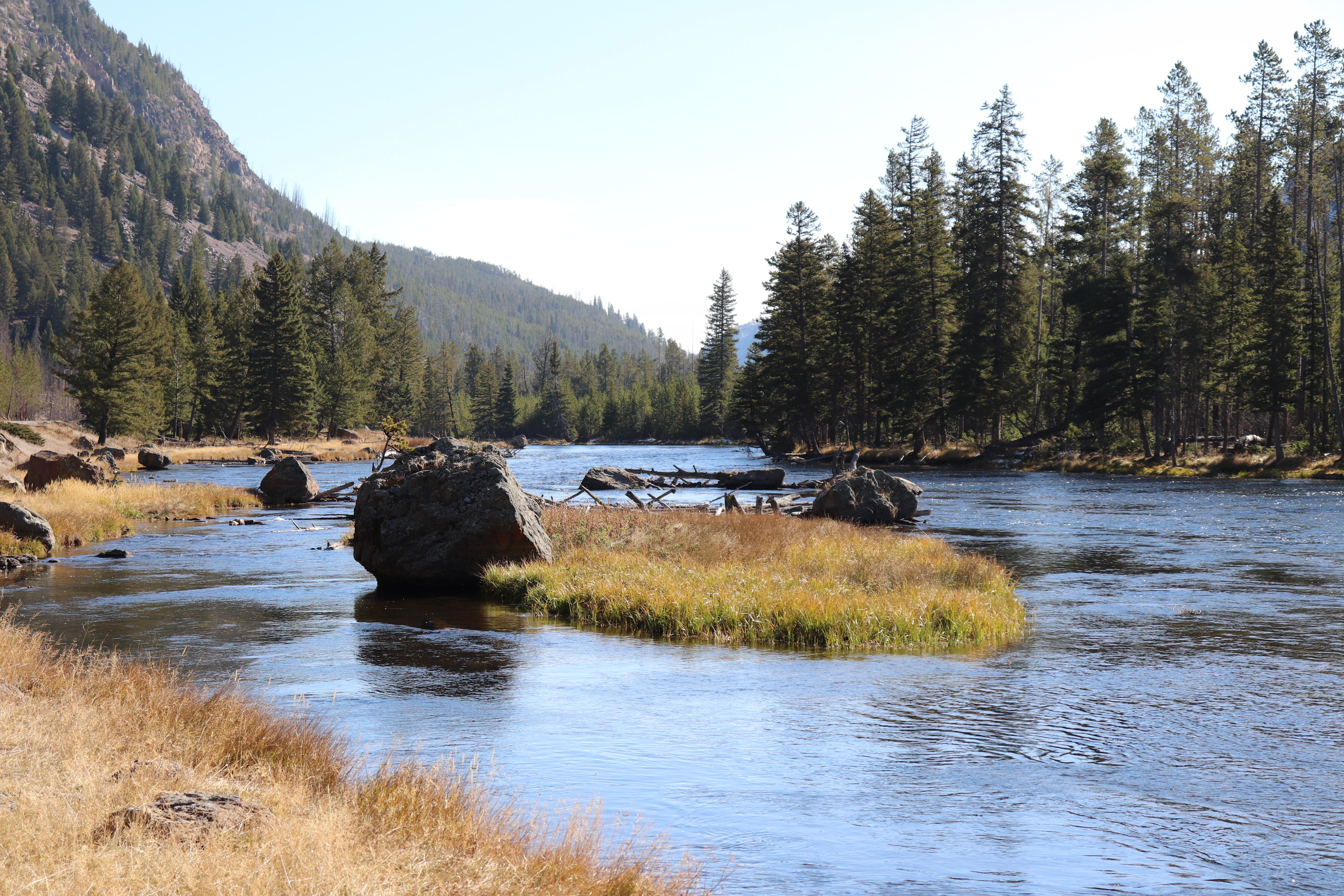 I drove from Bozeman, Montana to Yellowstone National Park and took