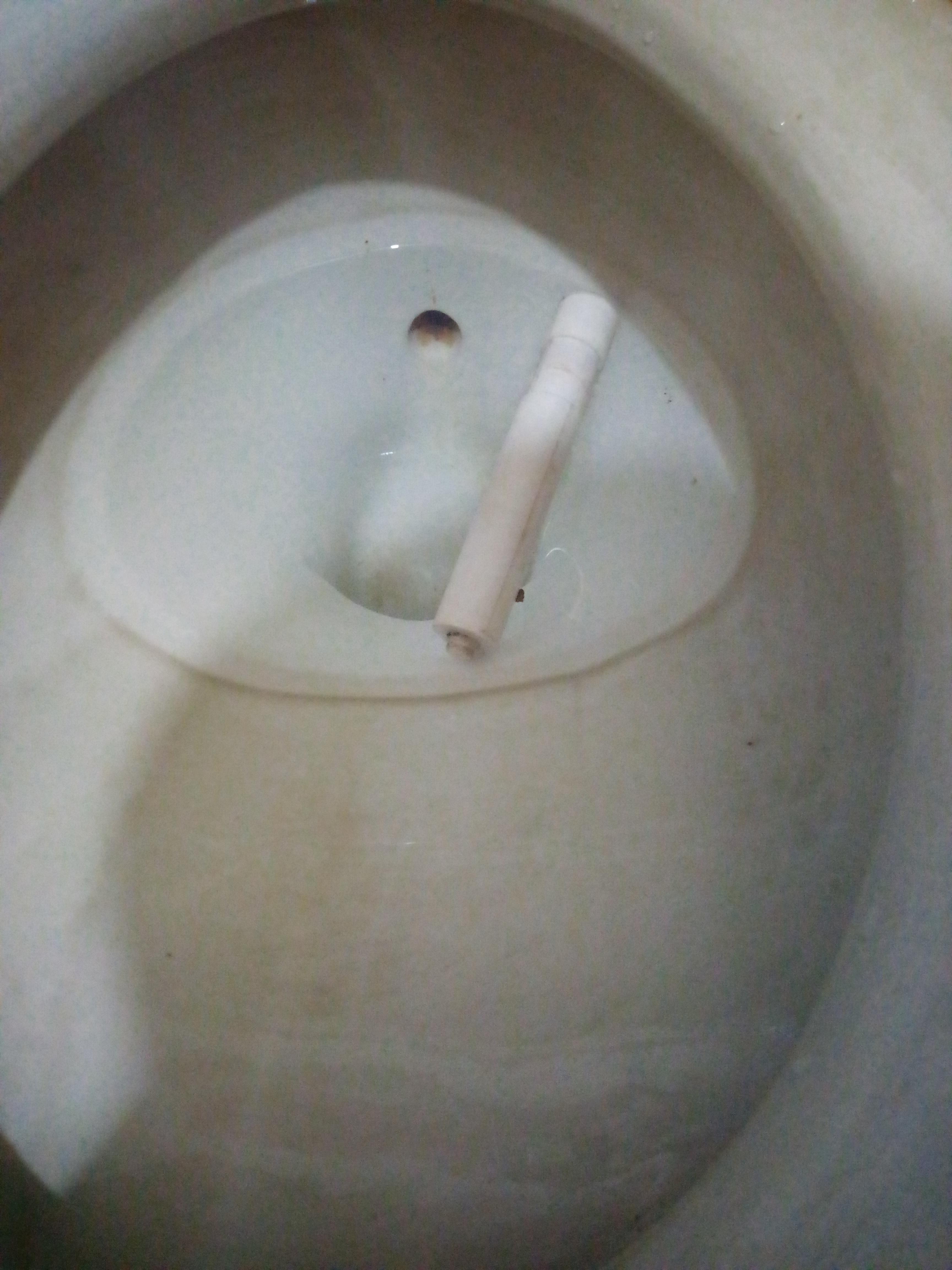 My toilet paper holder fell while i was changing it... r/Wellthatsucks