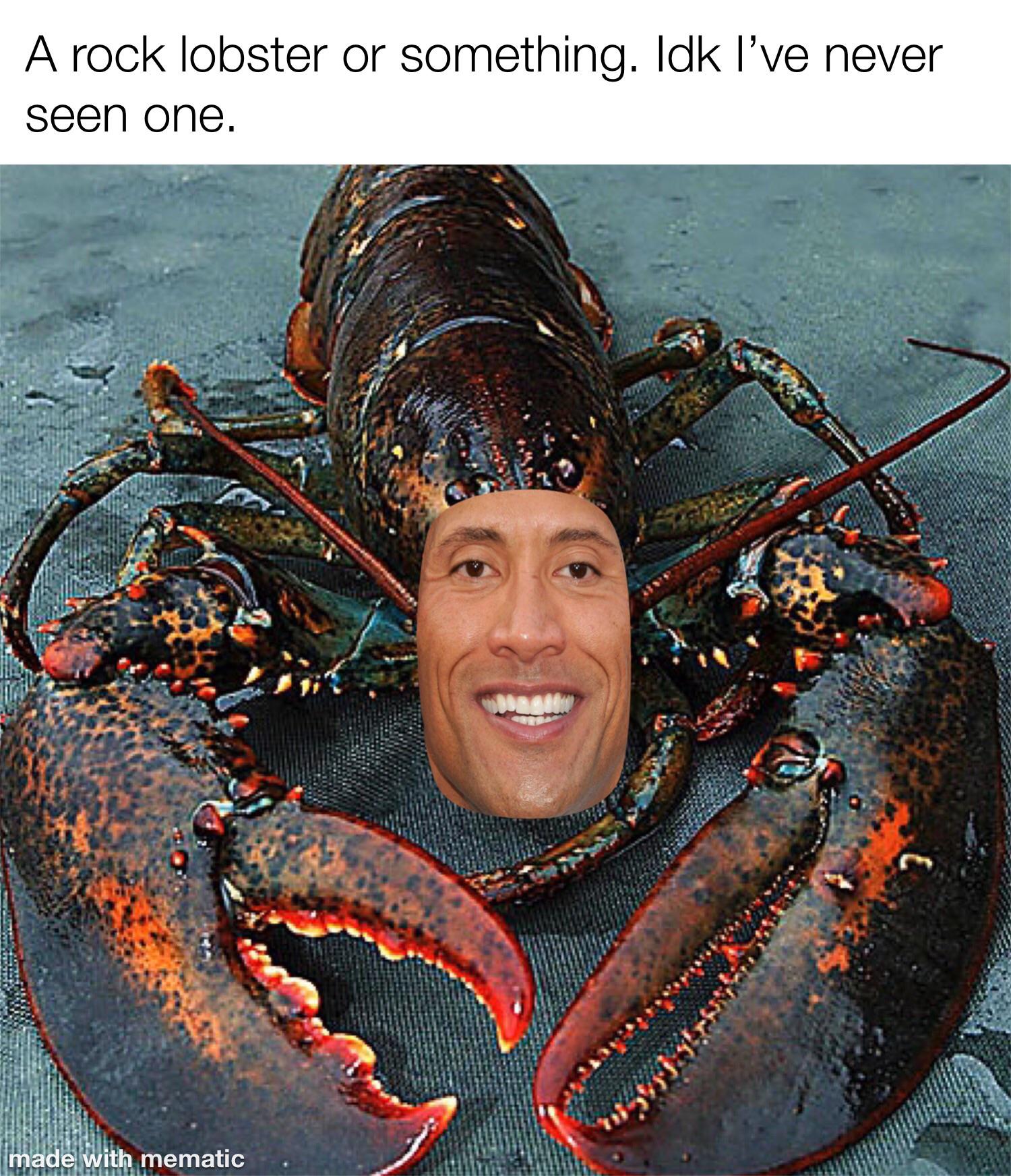 it wasn’t a rock....it was a rock LOBSTER r/dankmemes