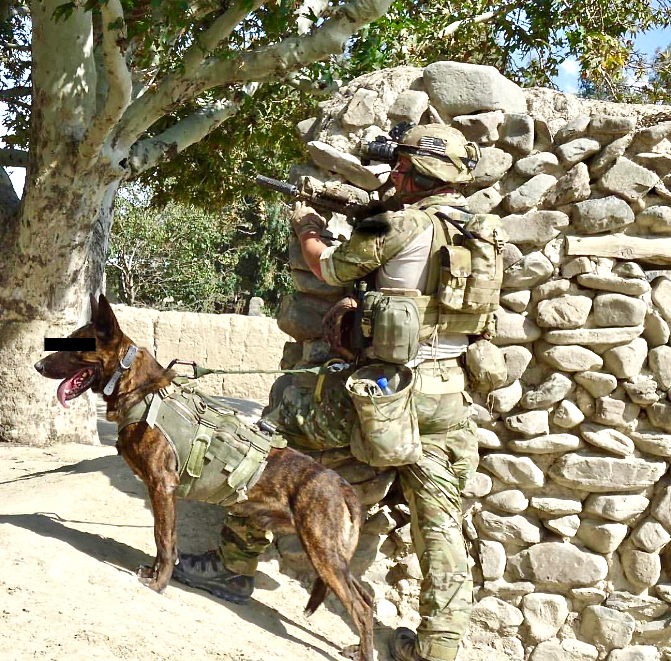 MWD (Military Working Dog) working with the 75th Ranger Regiment in
