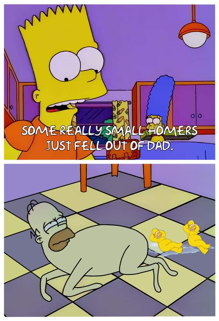 Small homers : SimpsonsMemes