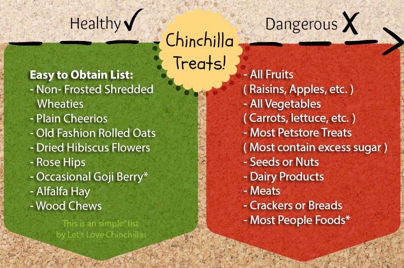 Reminder about safe treats r/chinchilla