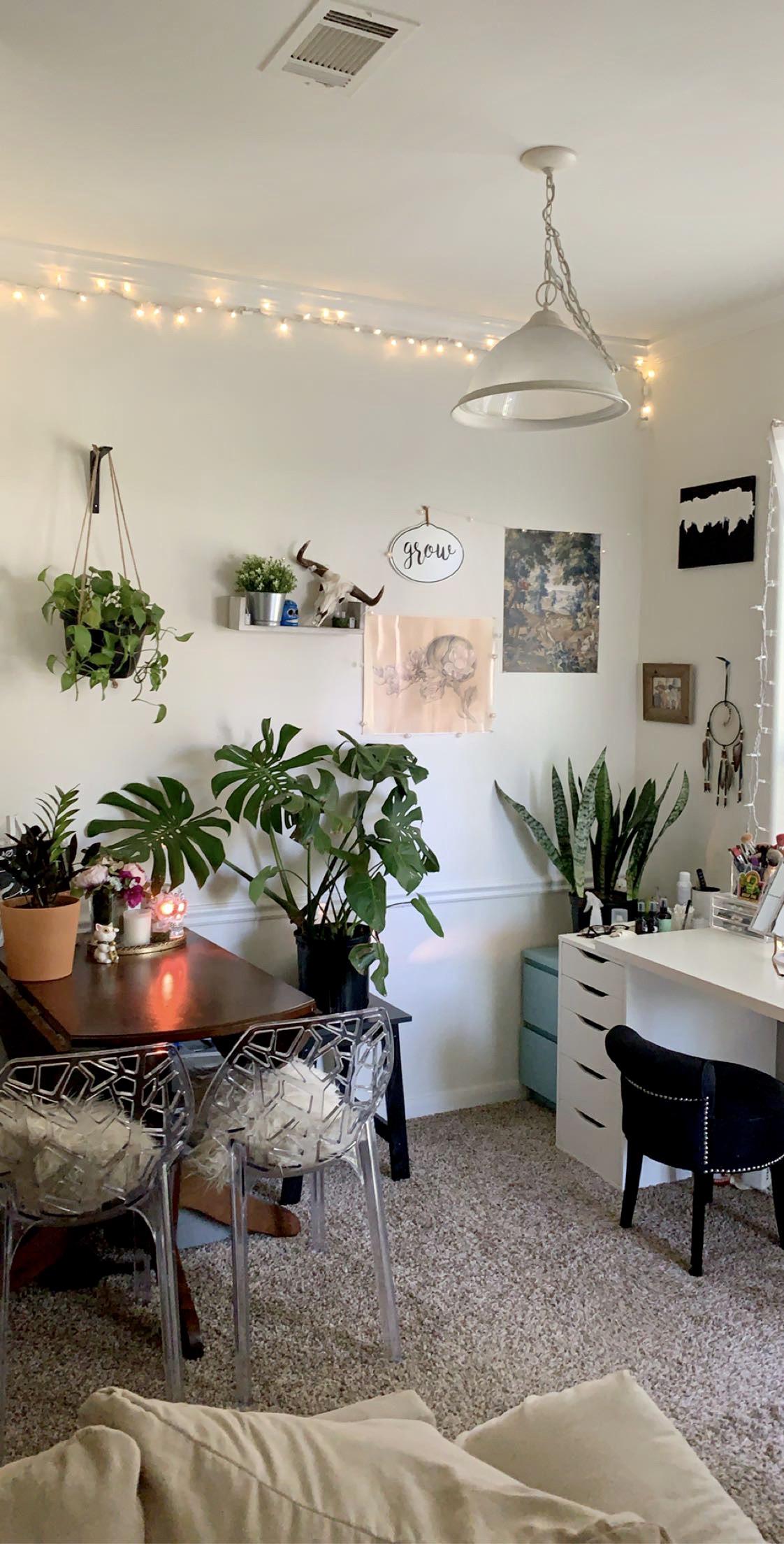 my dining room/vanity area r/houseplants