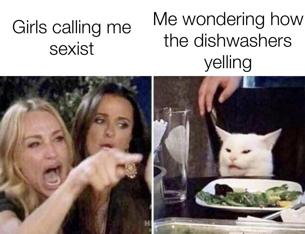 Dishwasher r/sexistmemes