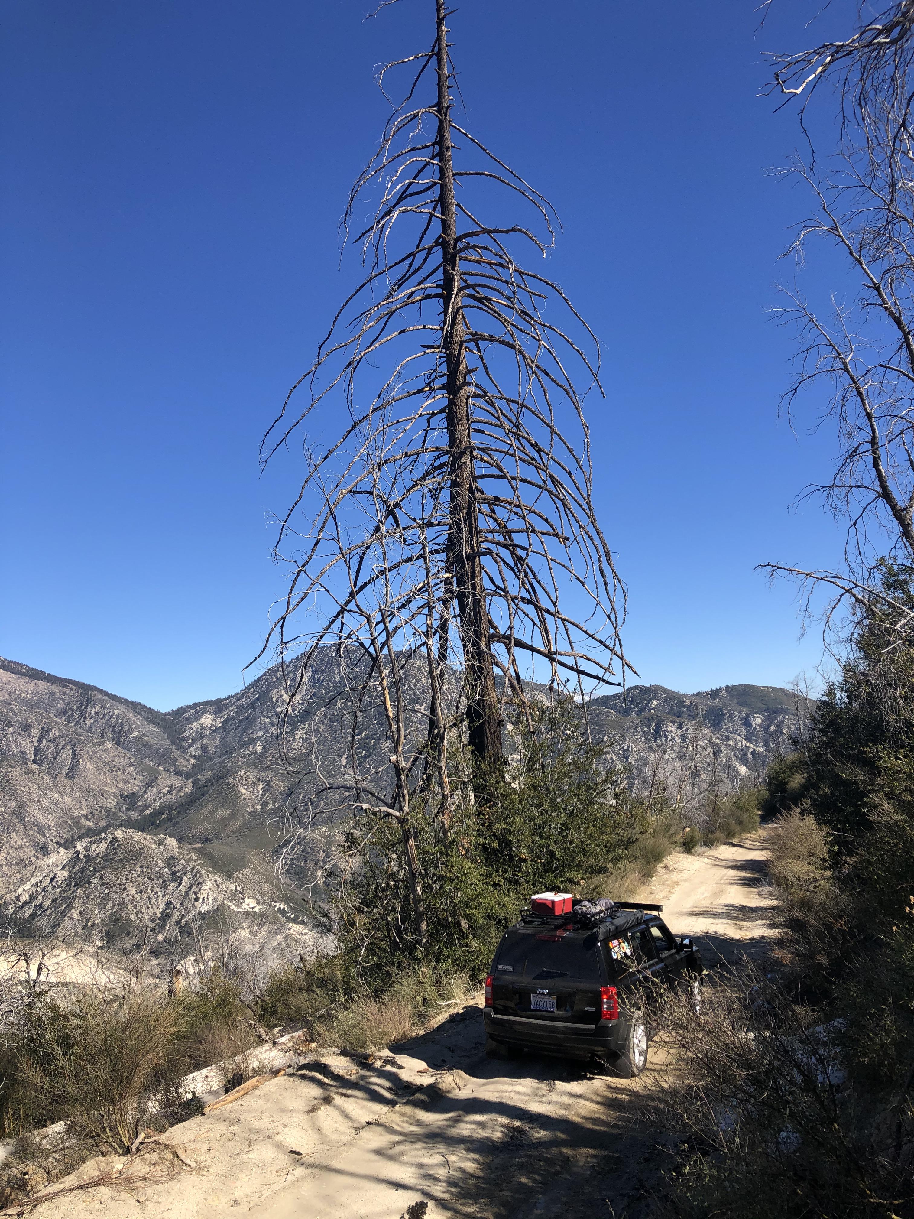 on the trail to one of my favorite camping spots in SoCal r/JeepPatriot