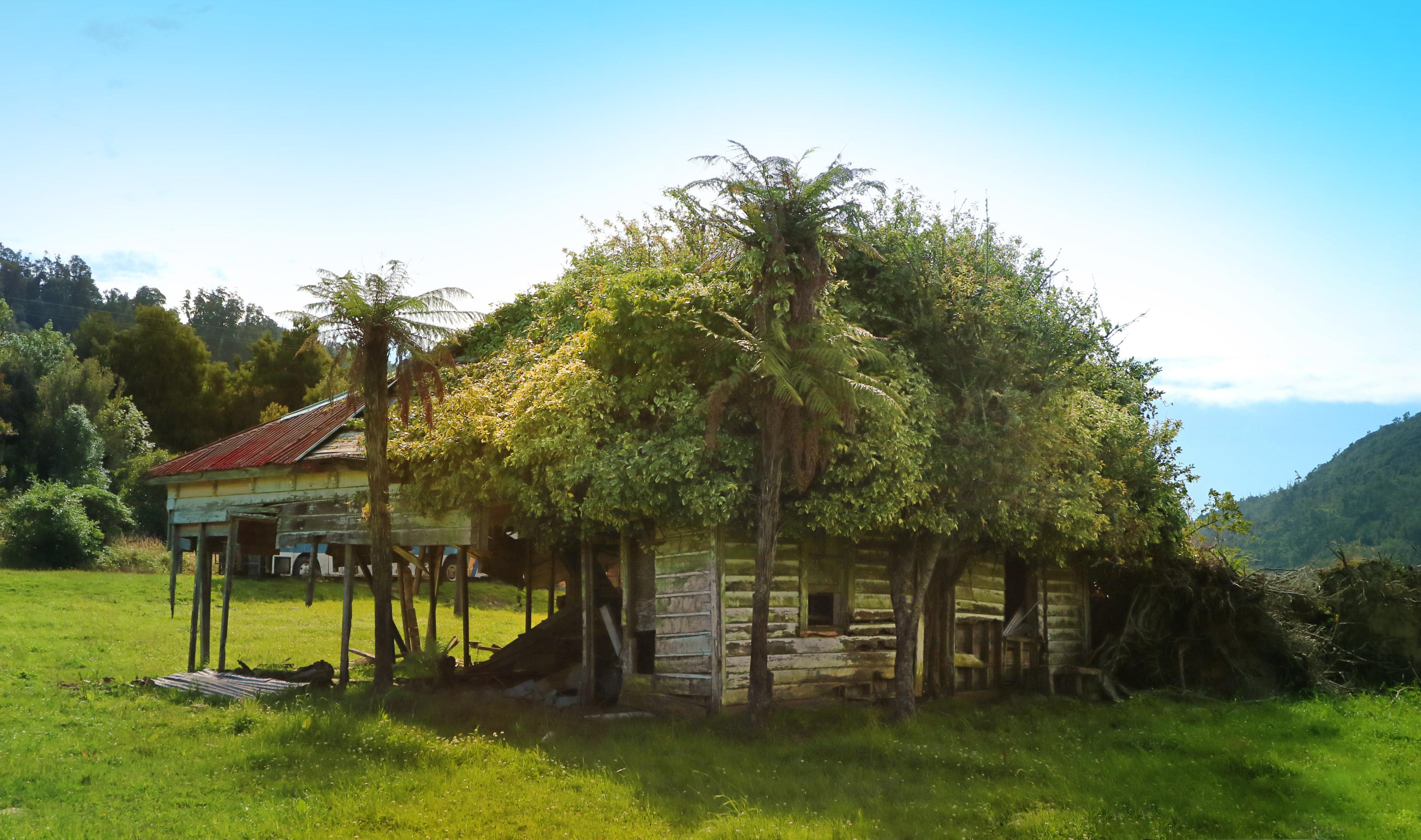 Seddonville, on the Westcoast of the South Island of New Zealand... A