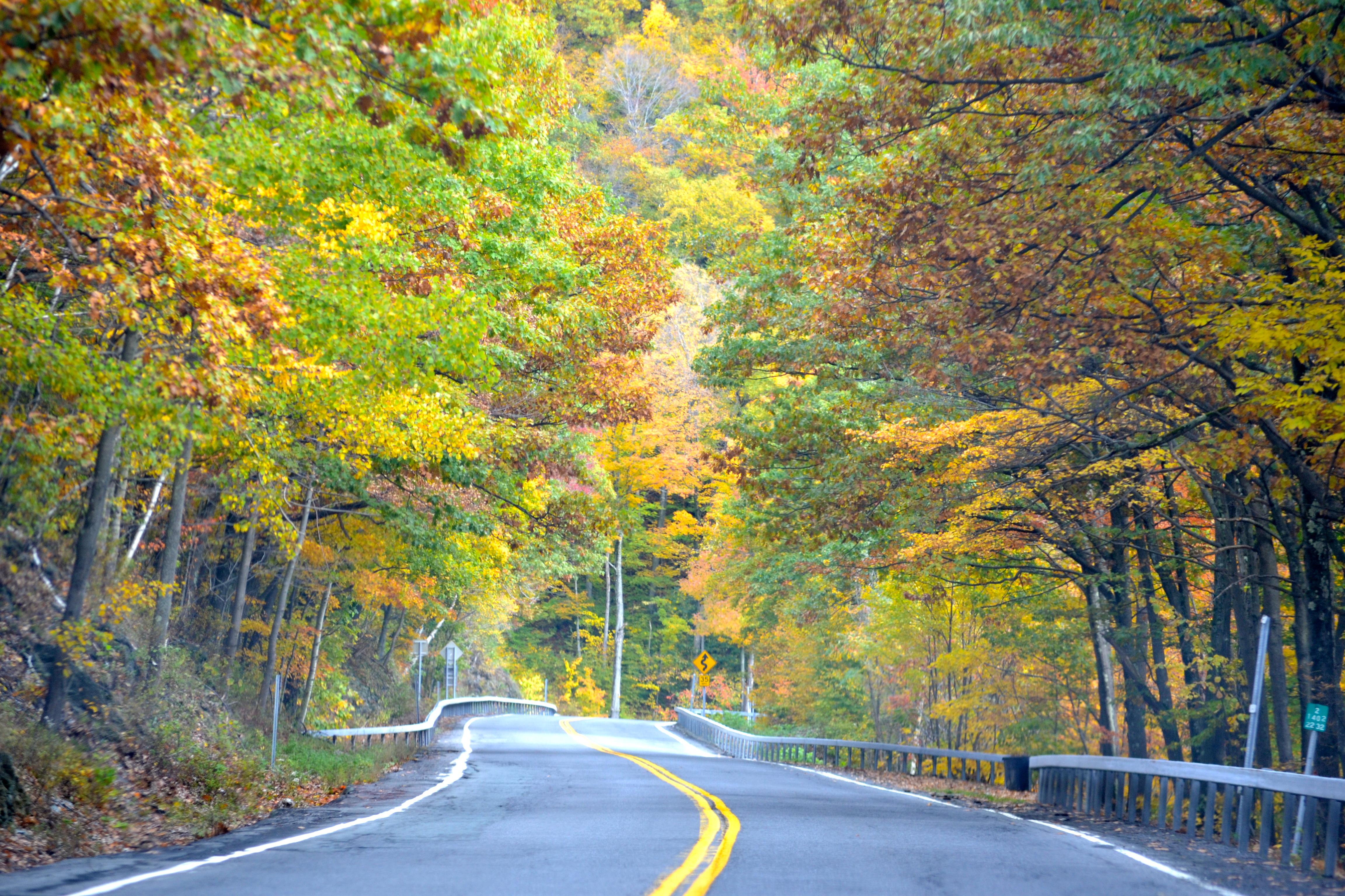 Fall in Upstate New York r/pics