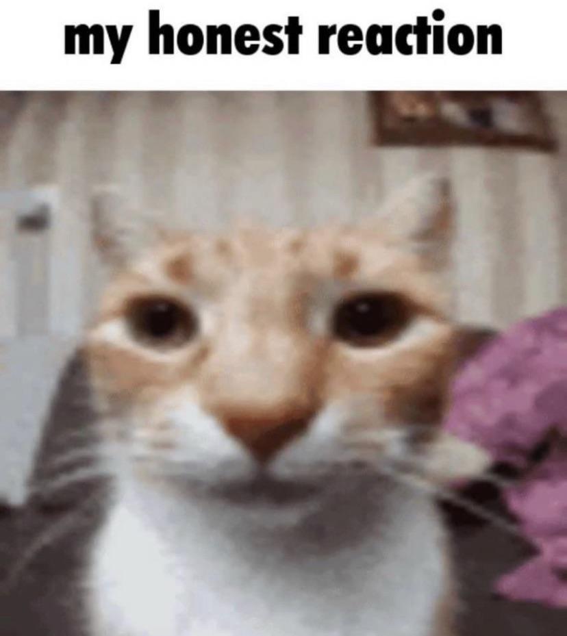 stuck in a cycle of not eating bc i’m nauseous but need energy so i