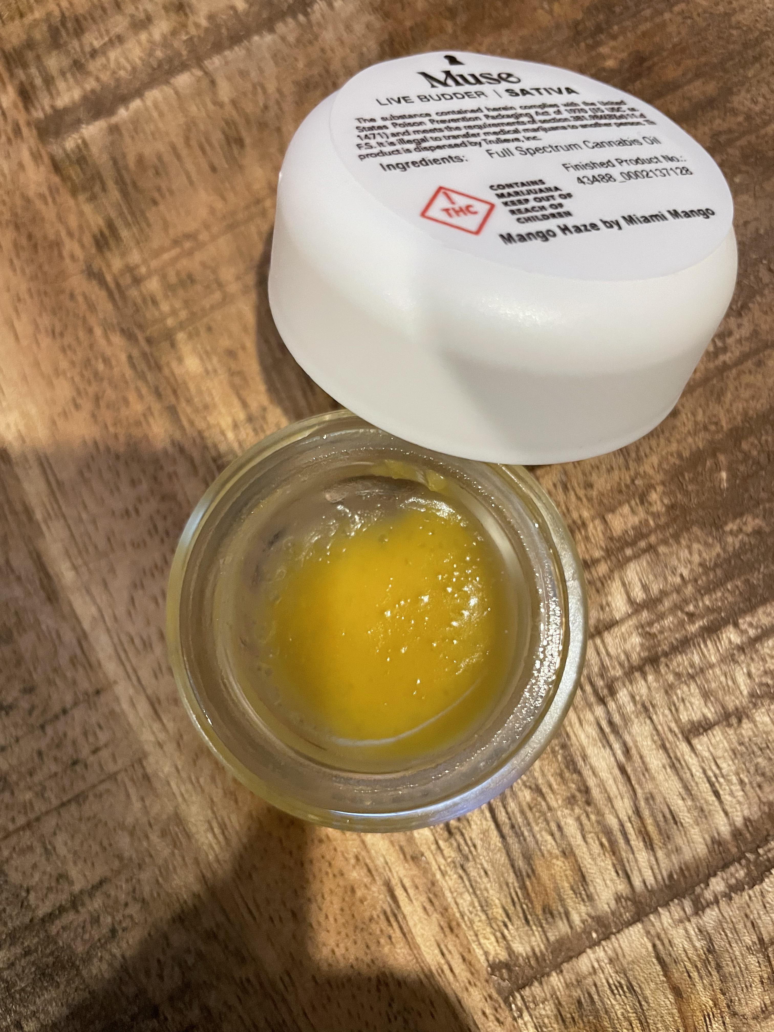 114 best Mango Haze images on Pholder The OCS, FL Medical Trees and Weed