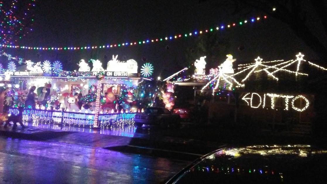 Ditto (Extreme Christmas lights!) r/funny