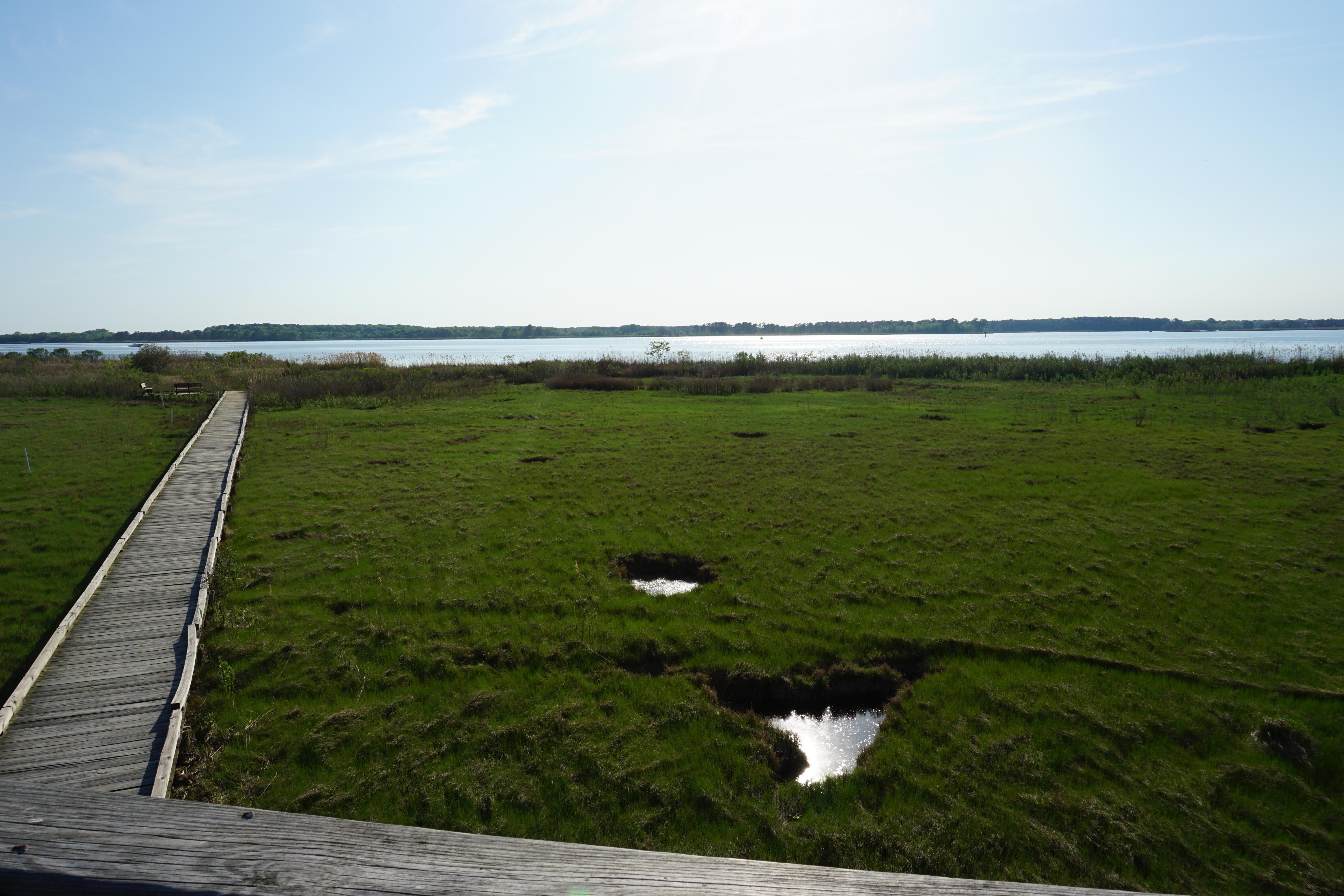 Grasonville r/maryland