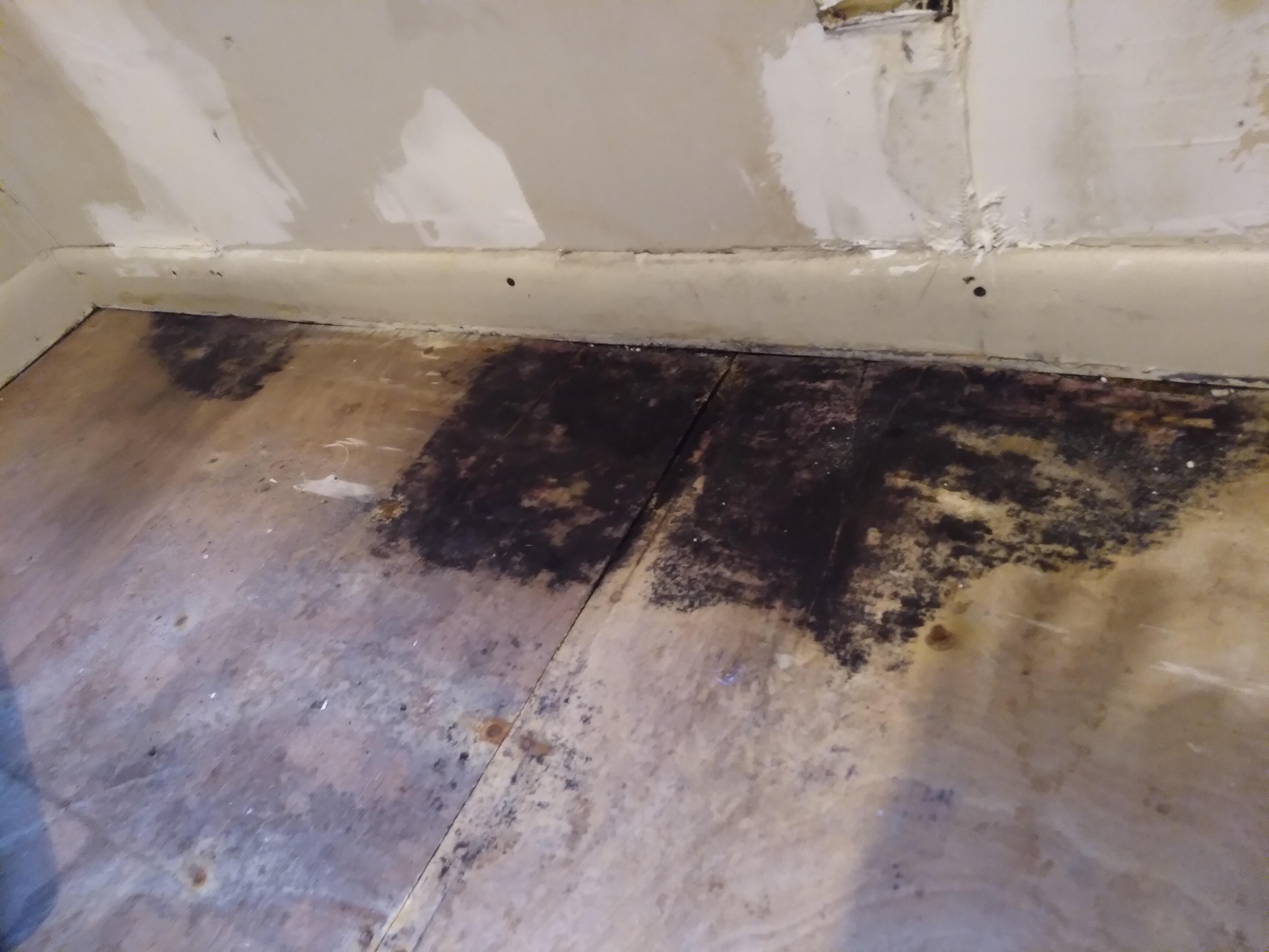 Is this black mold or rotted wood r/Carpentry