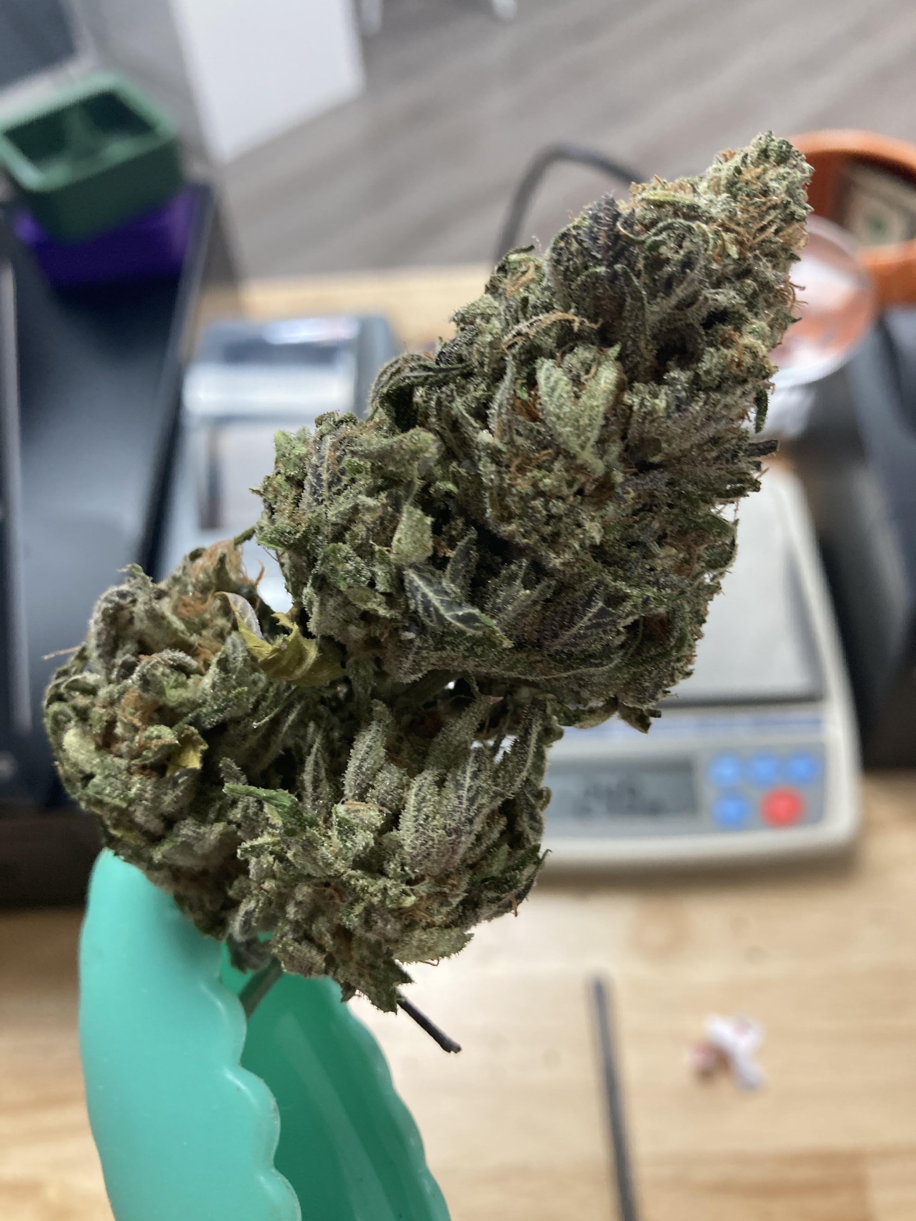 A Nug of Banana Kush at Red Dirt Budz r/OKmarijuana