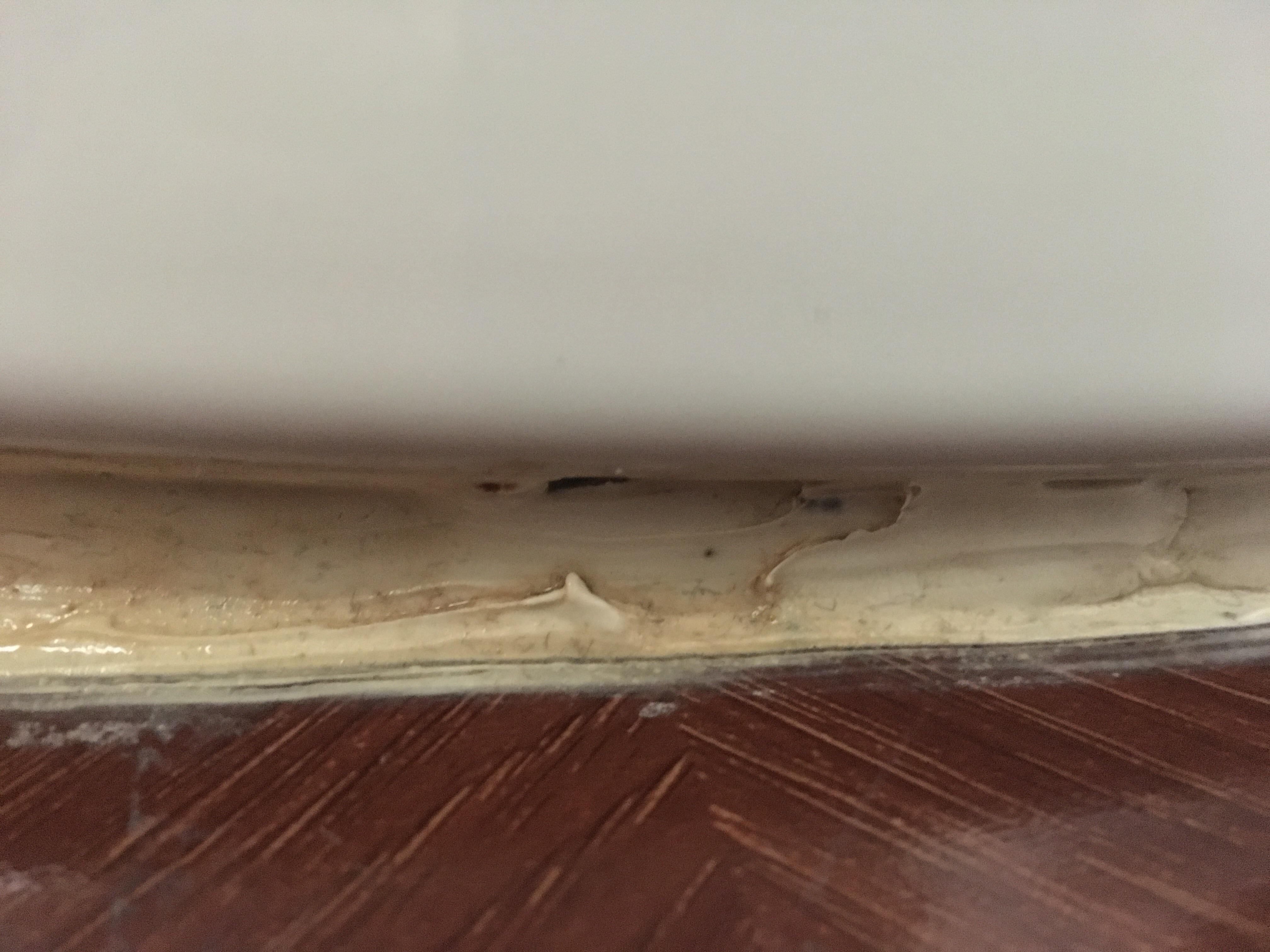 Water was leaking from under toilet after shower drain backed up