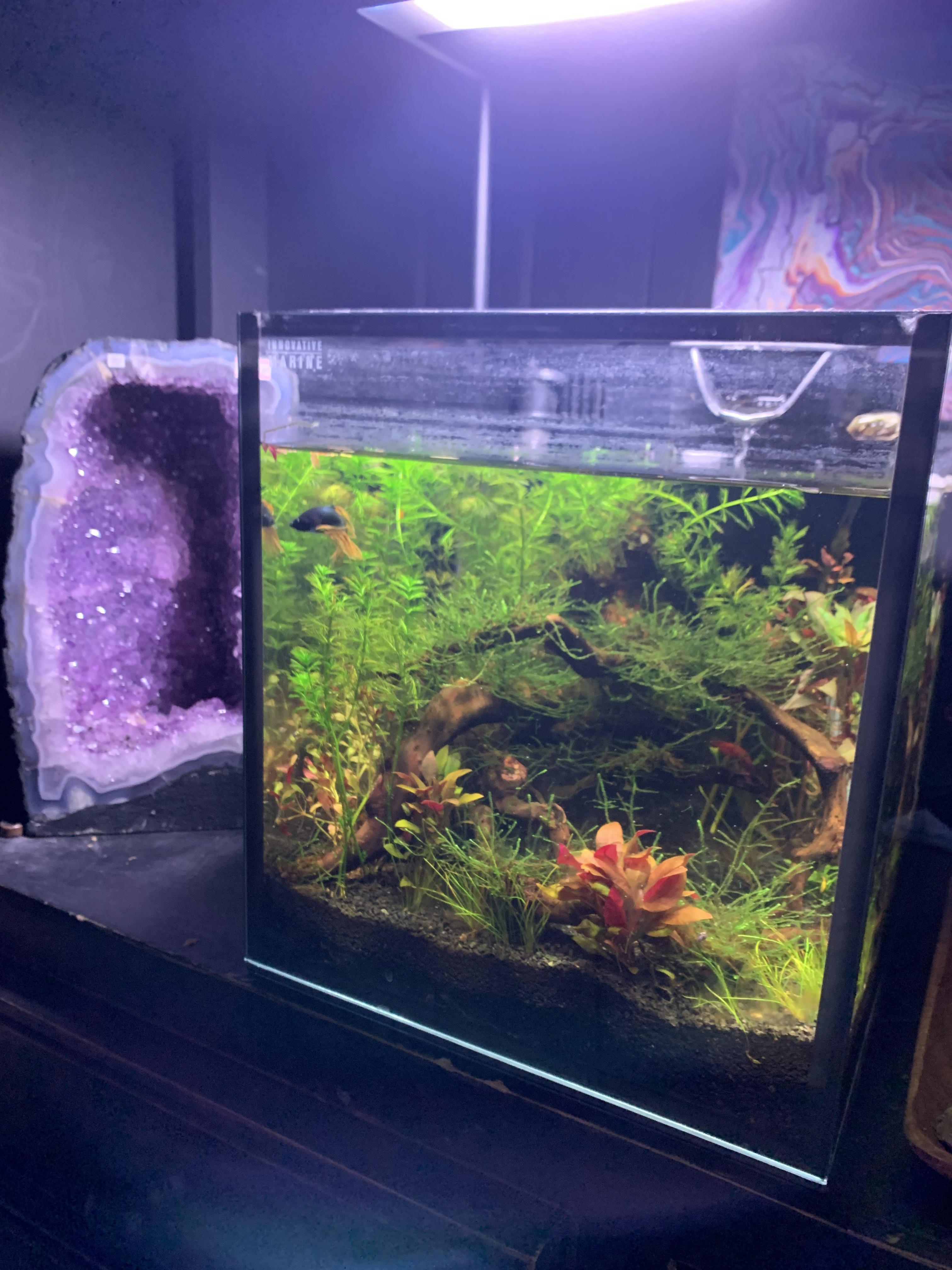 Anyone have any tips on how to keep your water from evaporating? It was