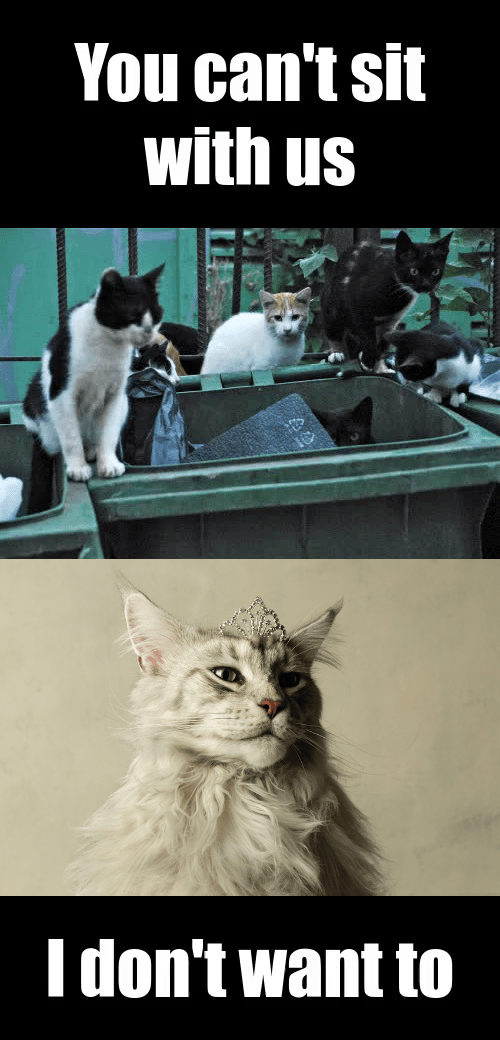You can't sit with us Catmemes