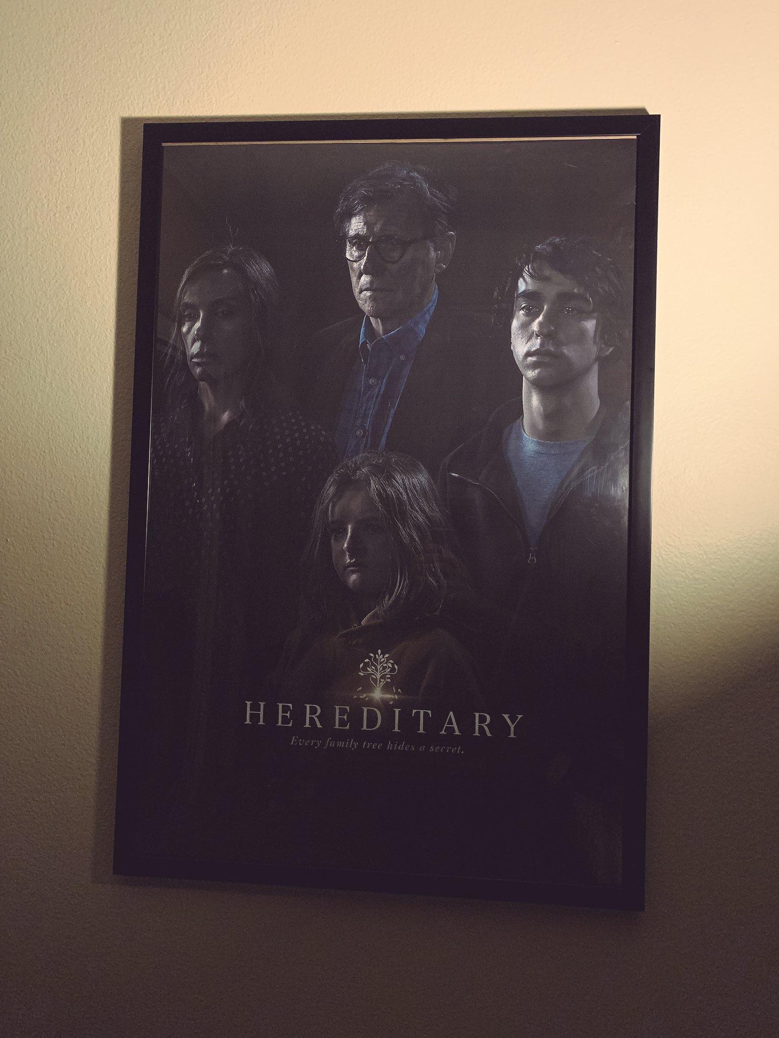 Framed my favorite horror movie poster. r/Scarymovies