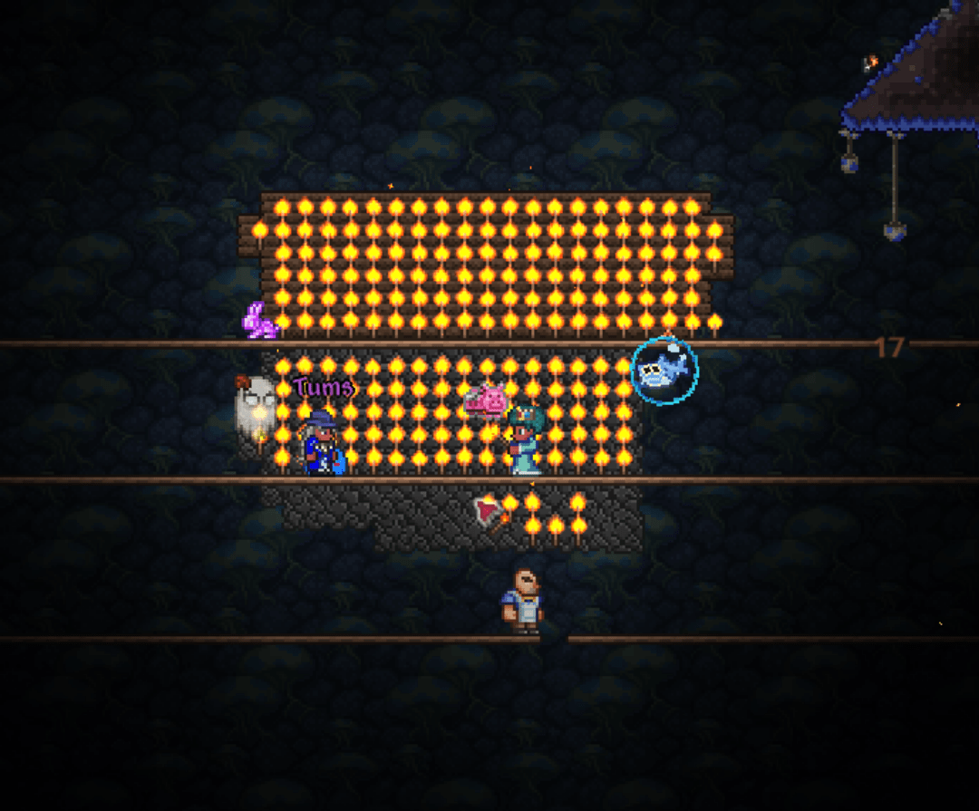 Why isn't torch God working ( r/Terraria